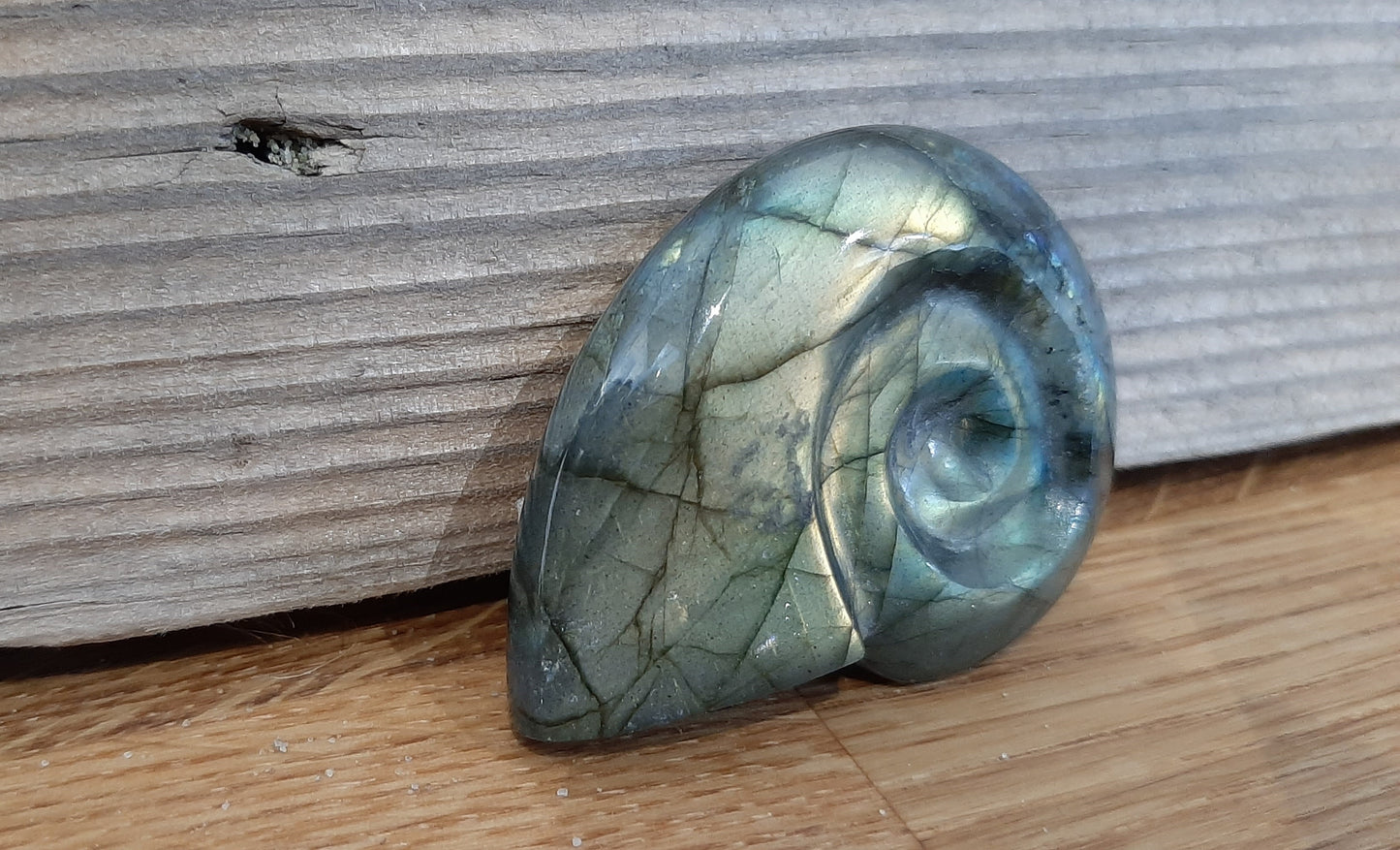 Labradorite Ammonite 5cm