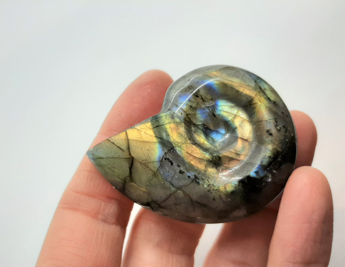 Labradorite Ammonite 5cm