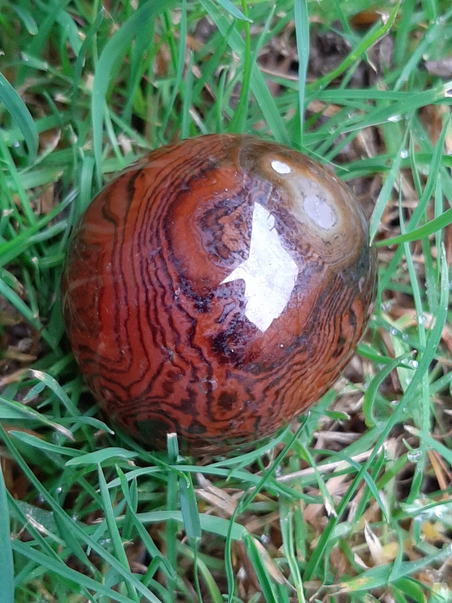 Carnelian Pebble 3-4cm