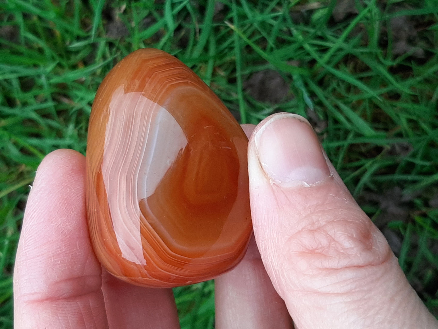 Carnelian Pebble 3-4cm