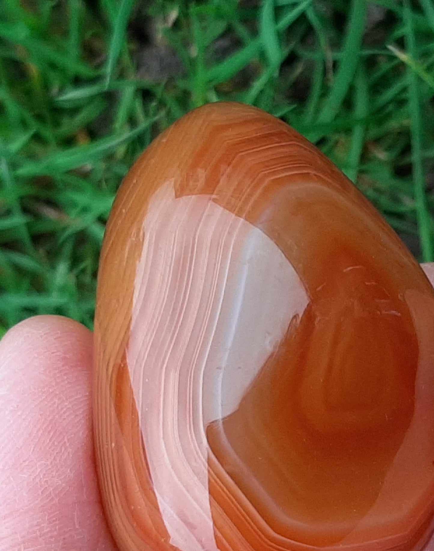 Carnelian Pebble 3-4cm