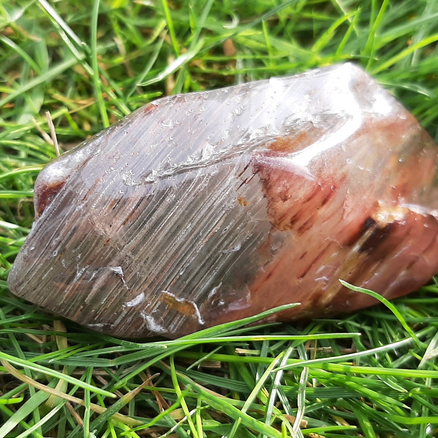 Shamanic/Dream Garden Amphibole Quartz 7cm