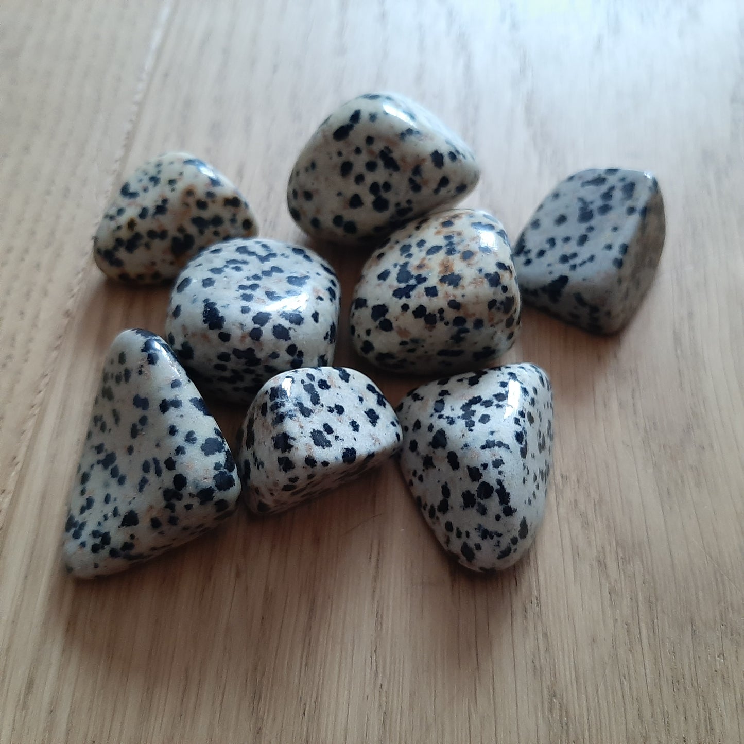 Dalmation Jasper Tumblestone (M)
