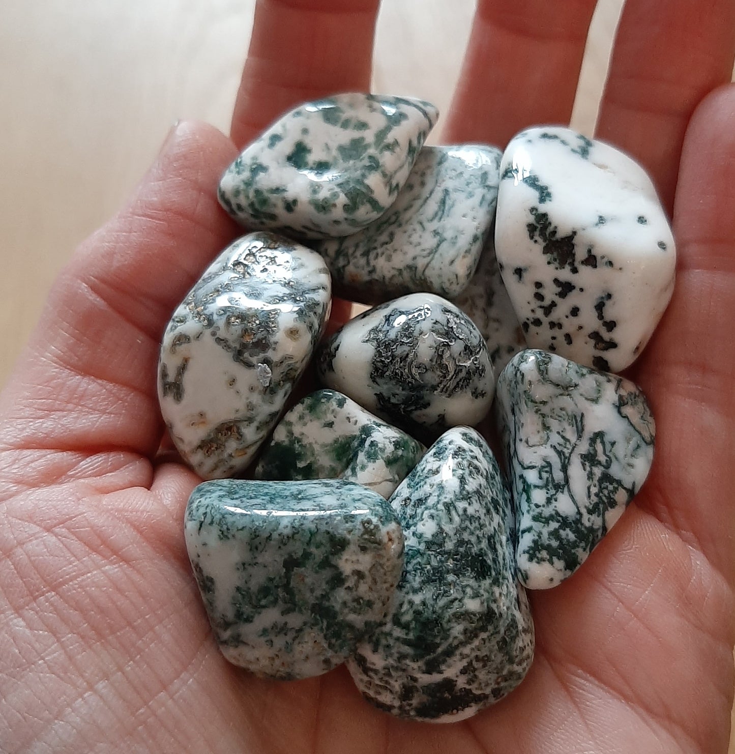 Tree Agate Tumblestone (M)