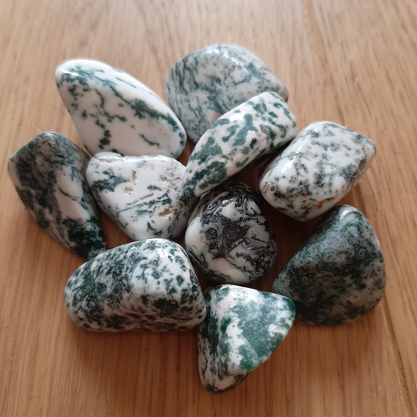 Tree Agate Tumblestone (M)