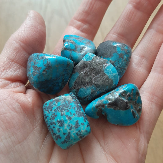 Mexican Turquoise Tumblestones (M)