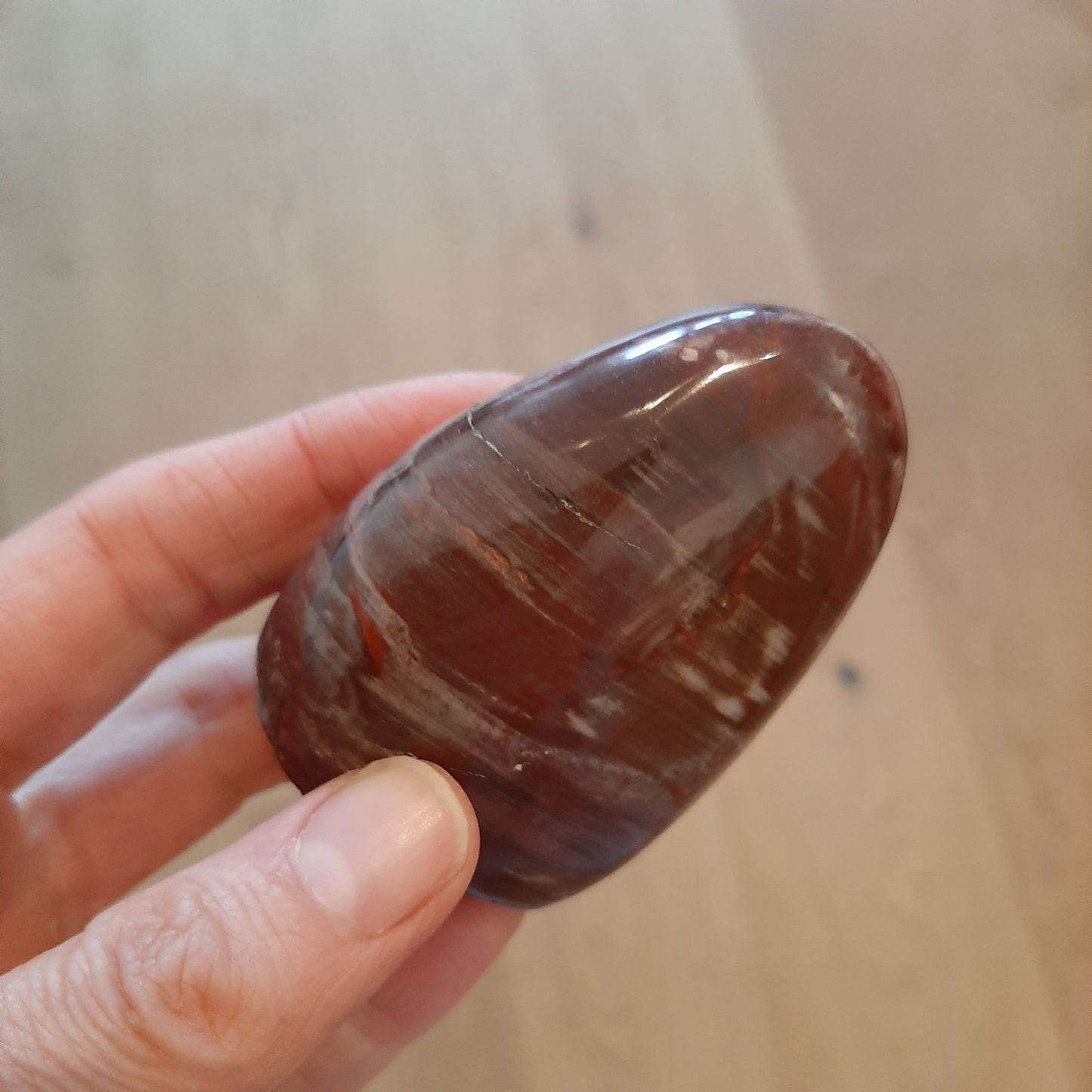 Fossil Wood Polished Freeform 6.5cm