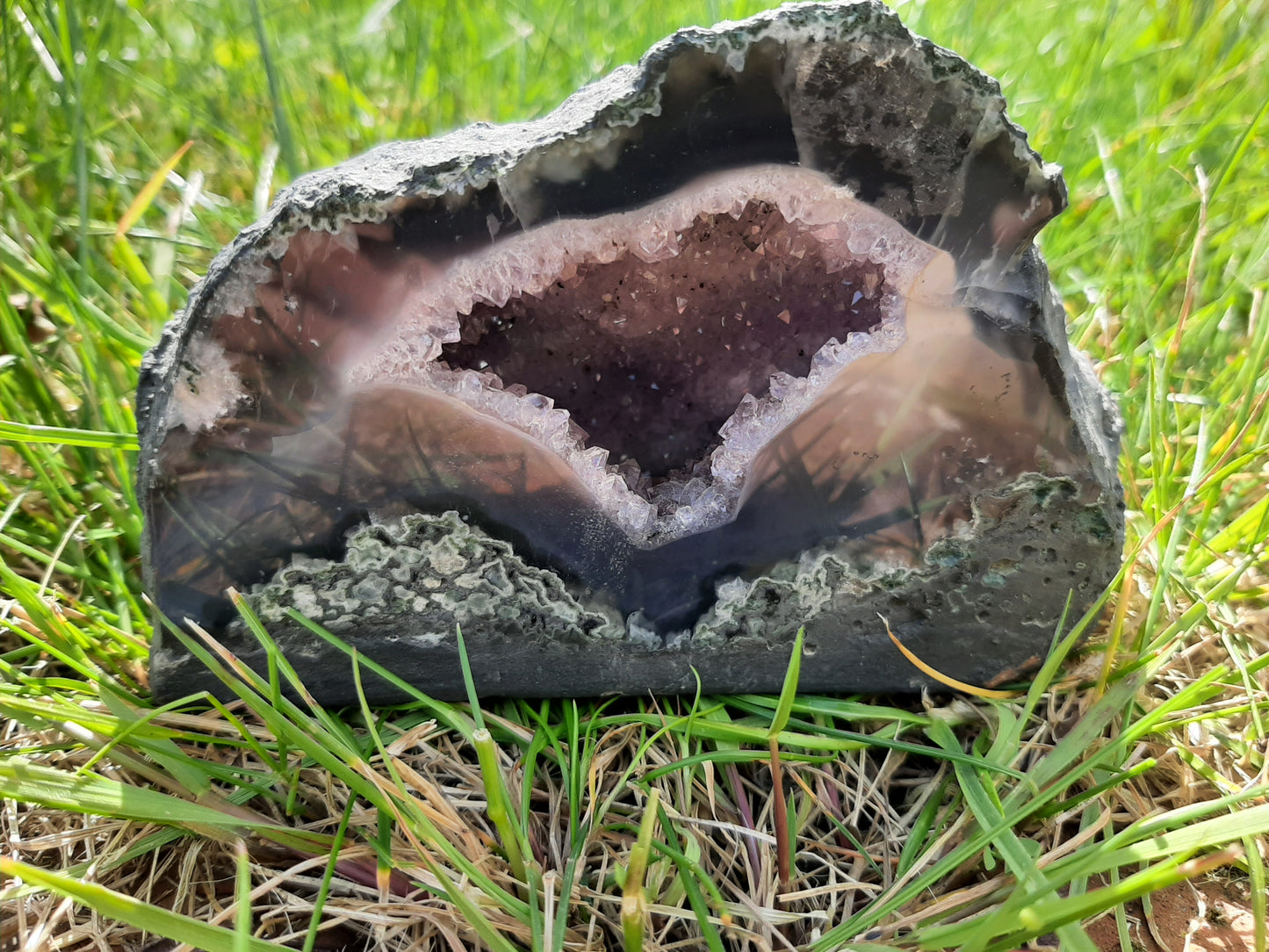 Amethyst Geode 650g