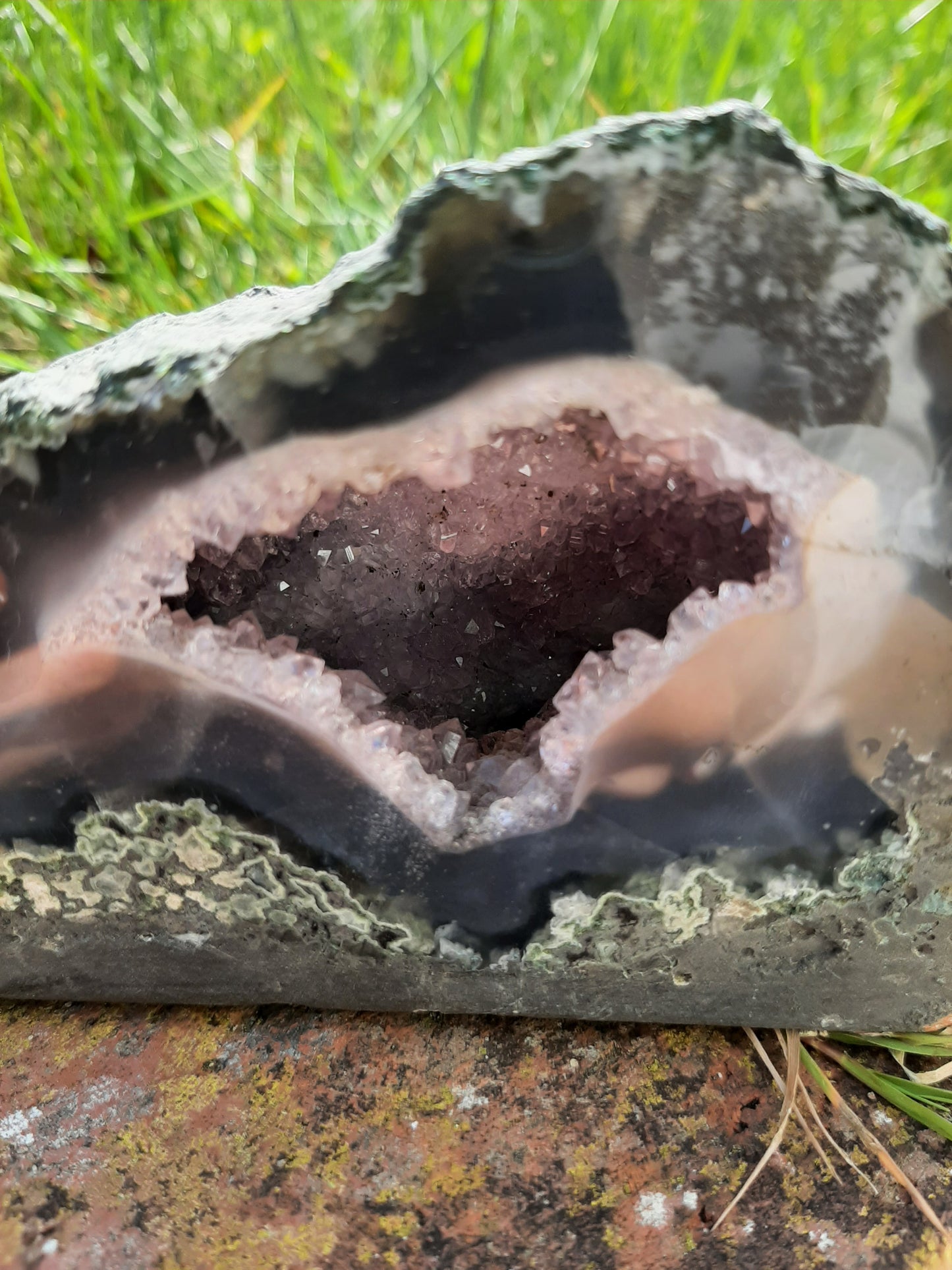 Amethyst Geode 650g