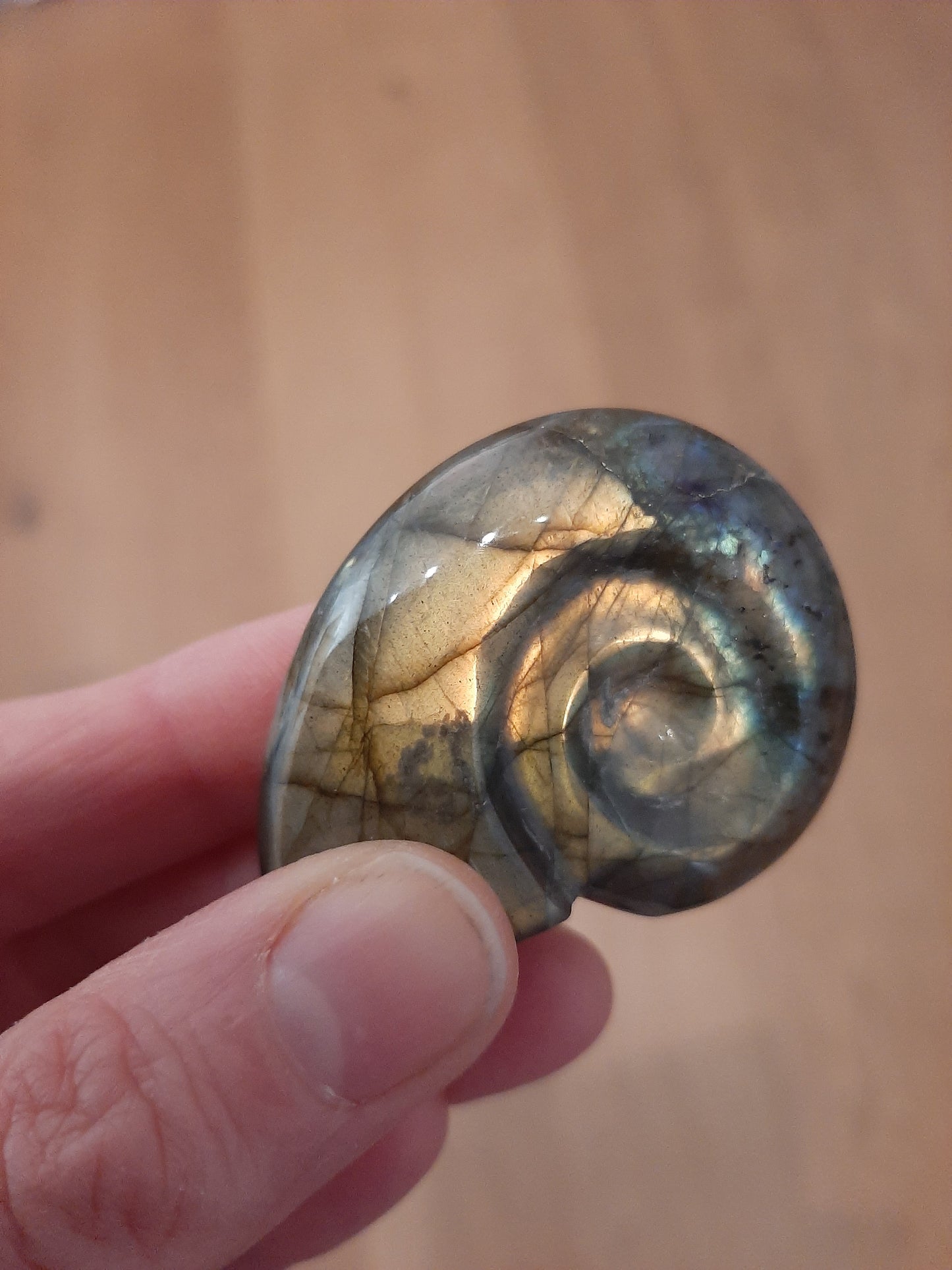 Labradorite Ammonite 5cm