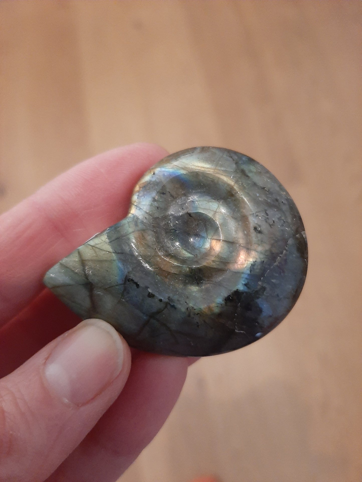Labradorite Ammonite 5cm