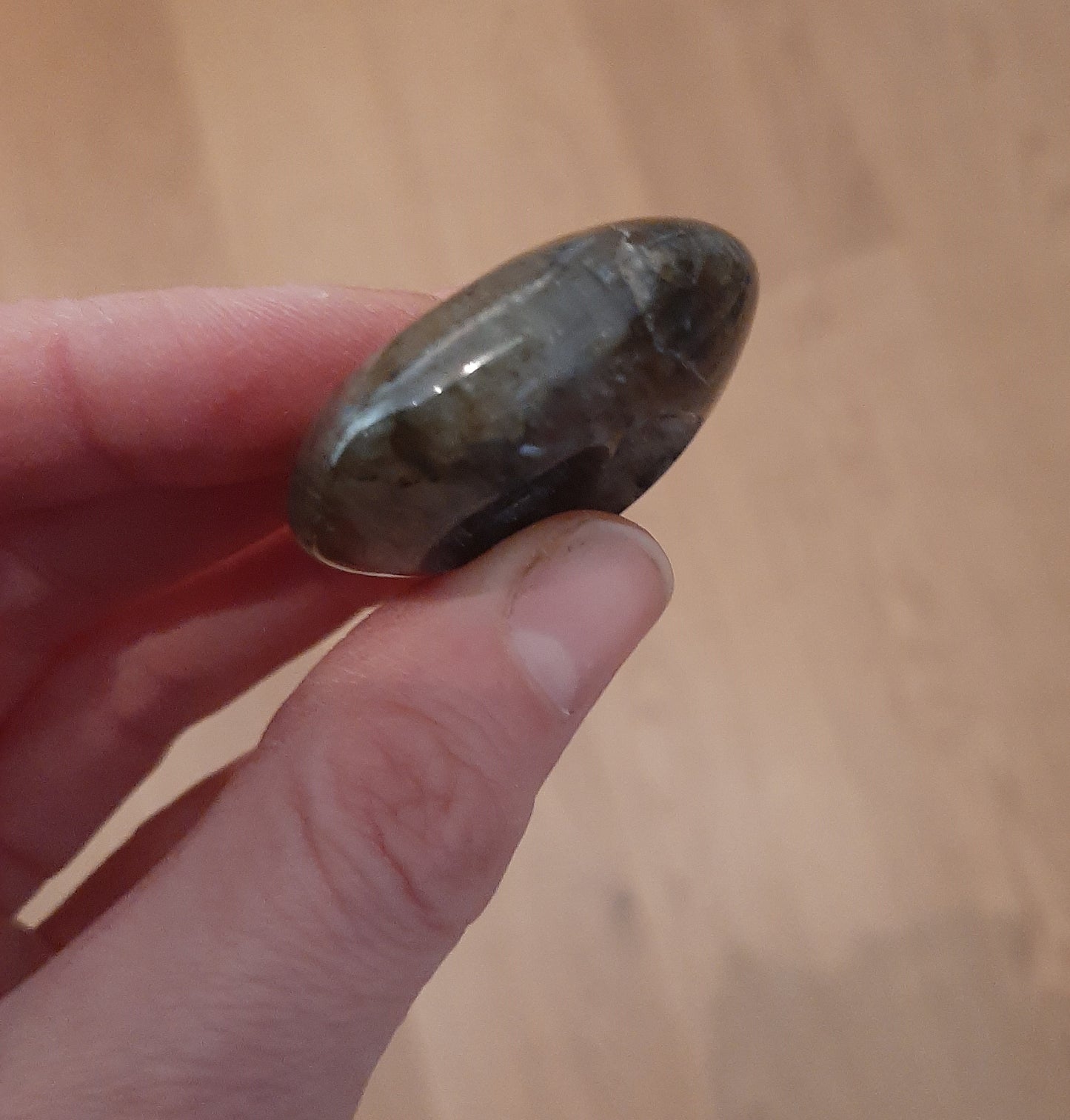 Labradorite Ammonite 5cm