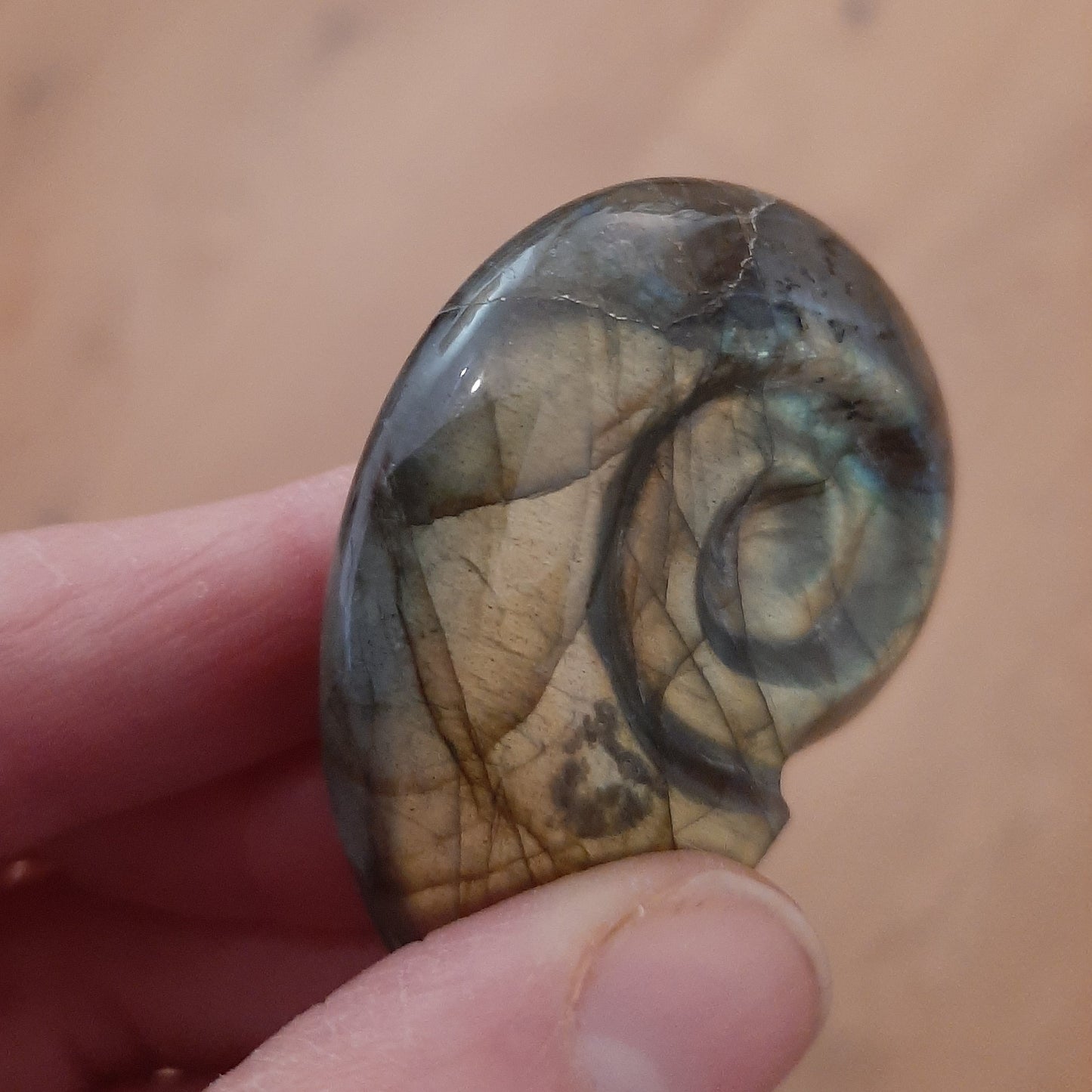 Labradorite Ammonite 5cm