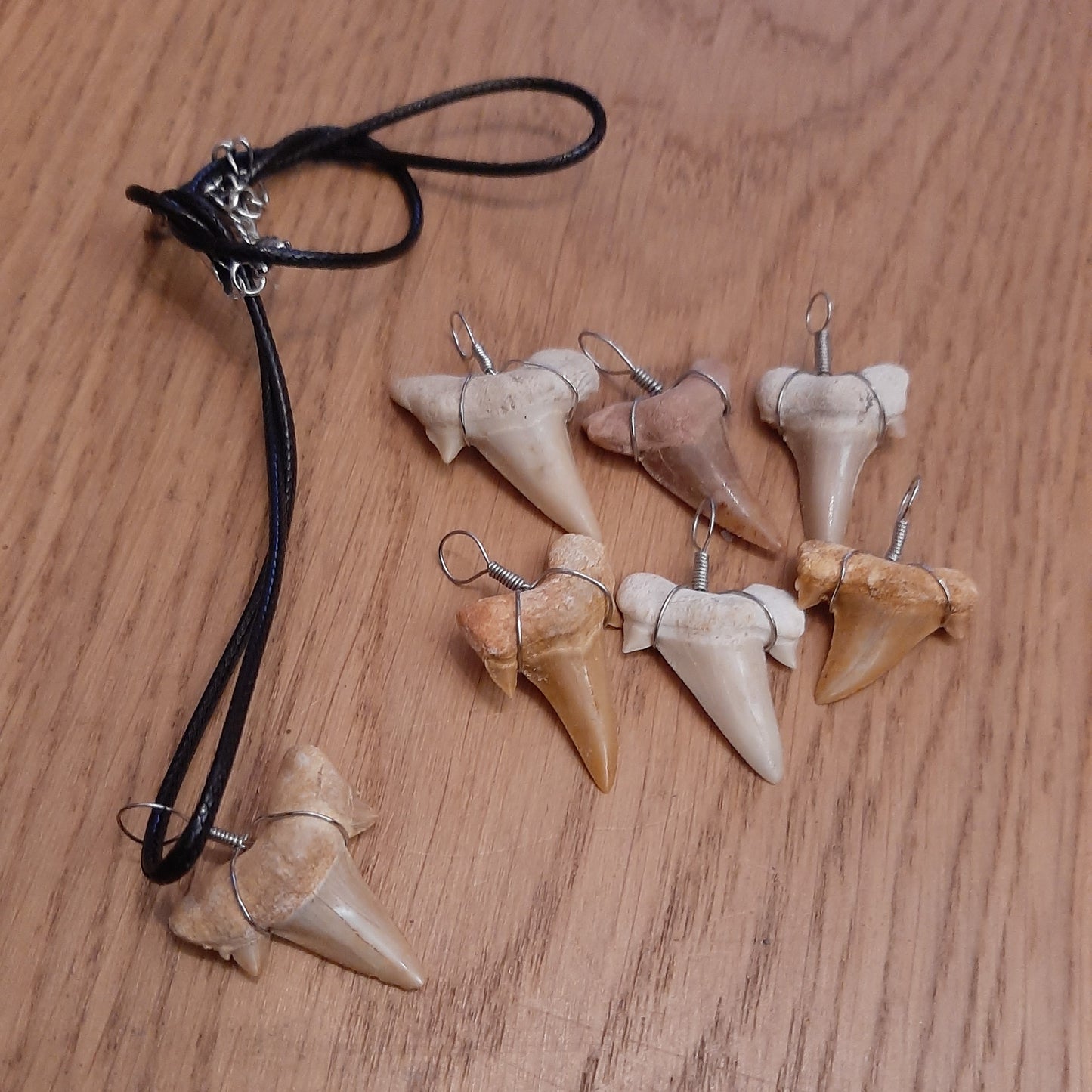 Shark Tooth Pendant