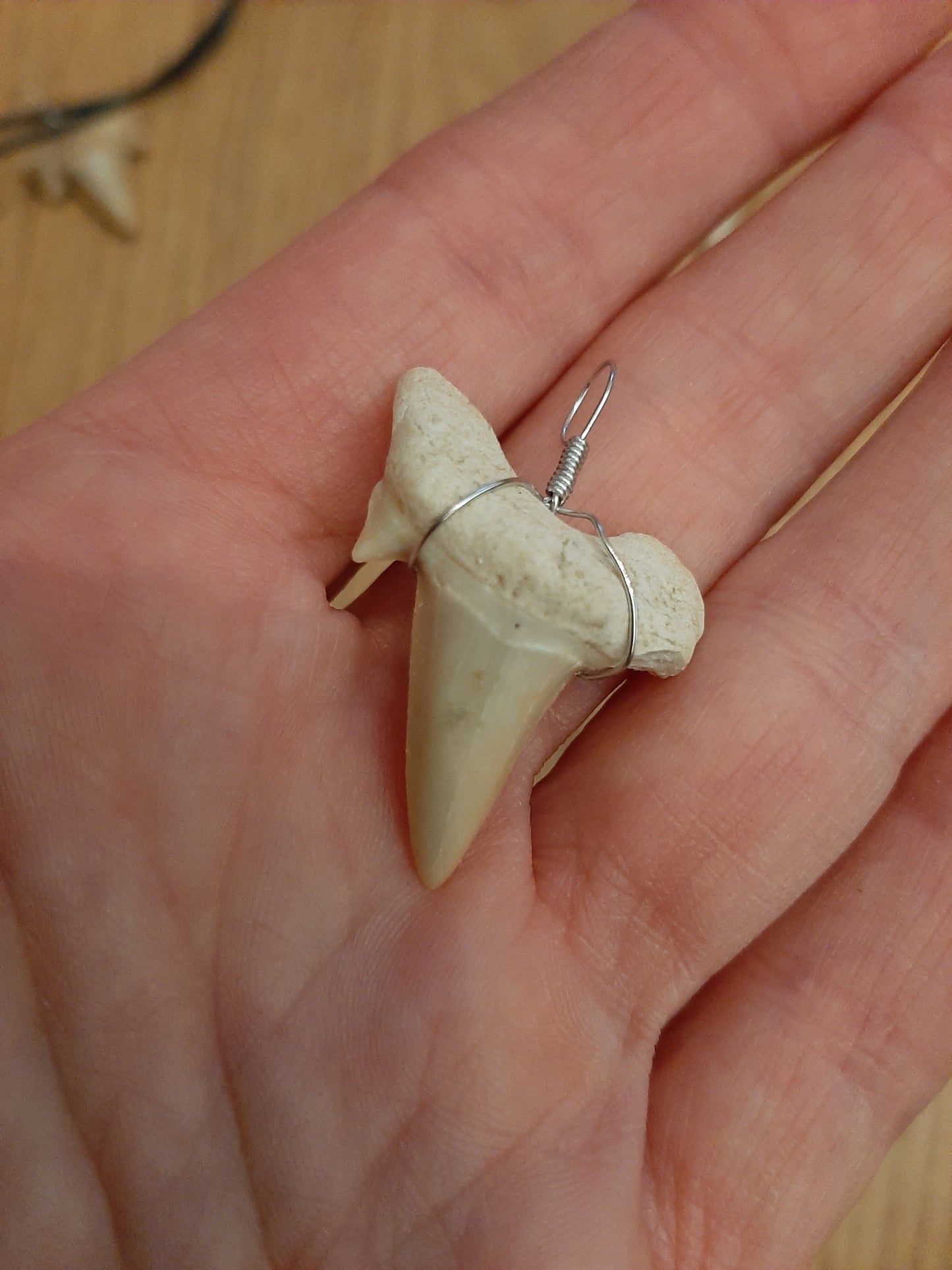 Shark Tooth Pendant