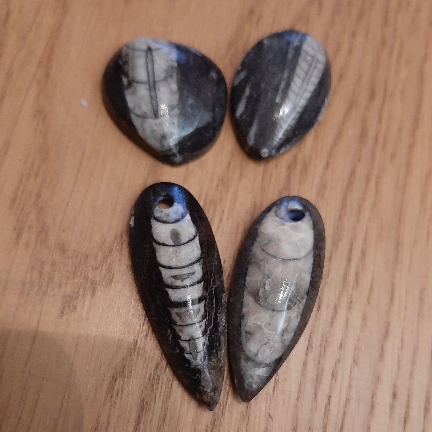 Orthoceras Fossil Pendant/Polished Small