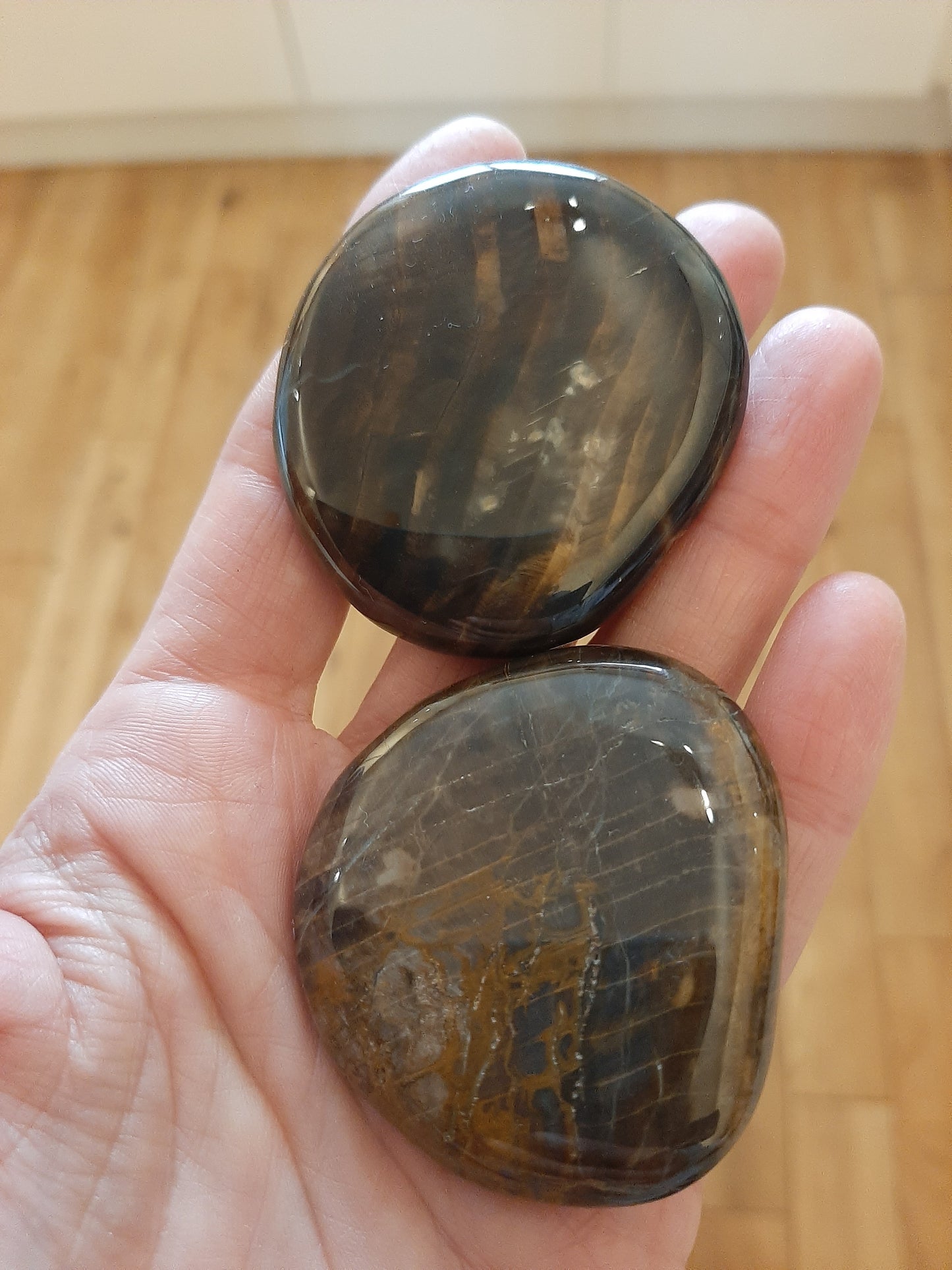 Petrified Wood Palmstone 5cm