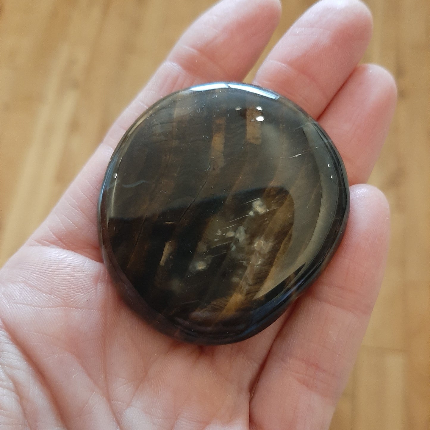 Petrified Wood Palmstone 5cm