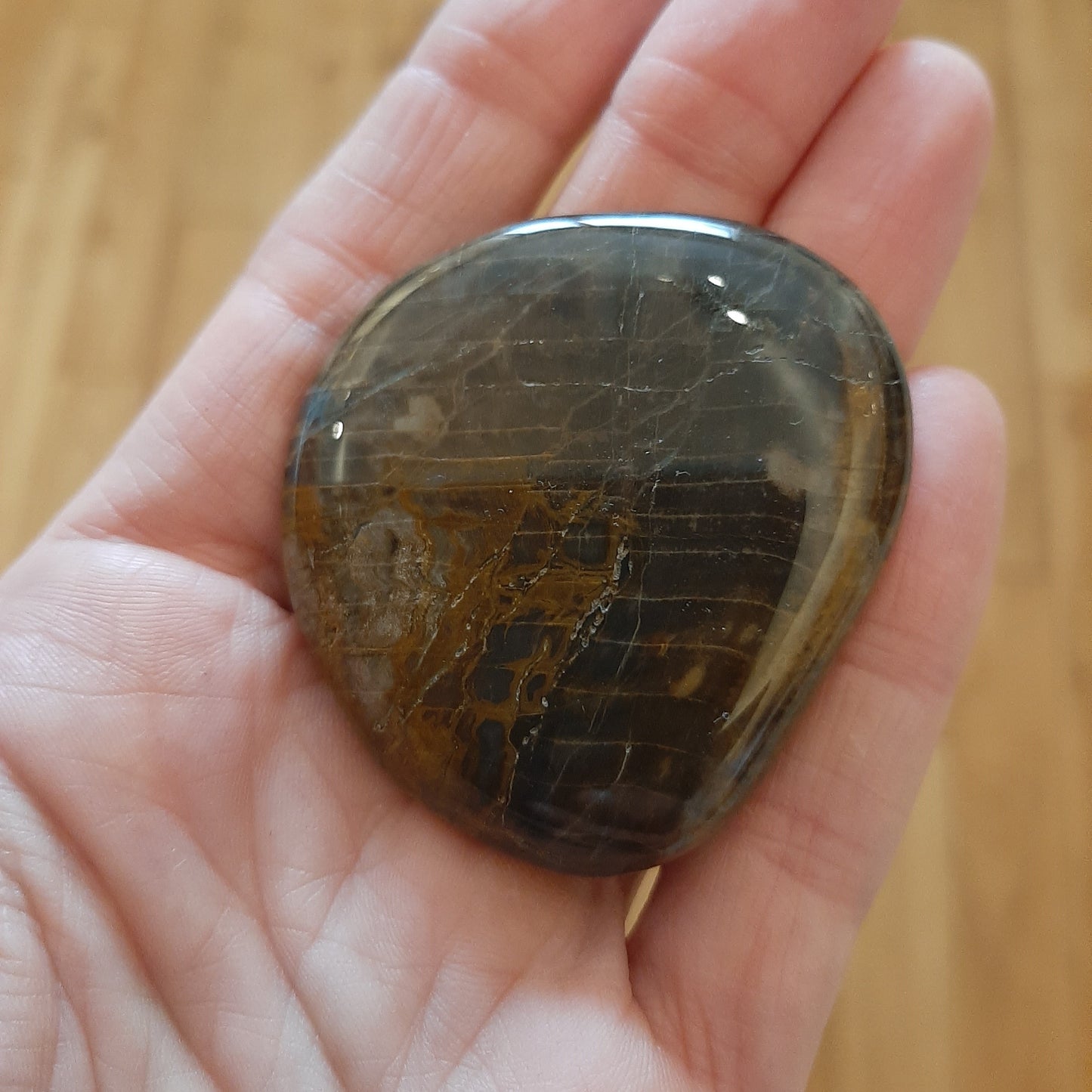 Petrified Wood Palmstone 5cm