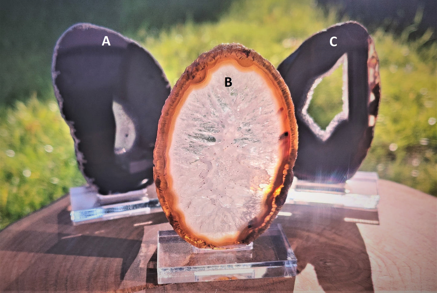 Black/White Agate Slice on stand