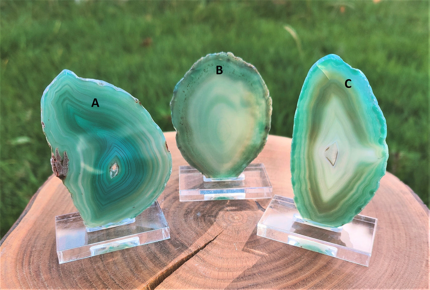 Green Agate Slice on Stand