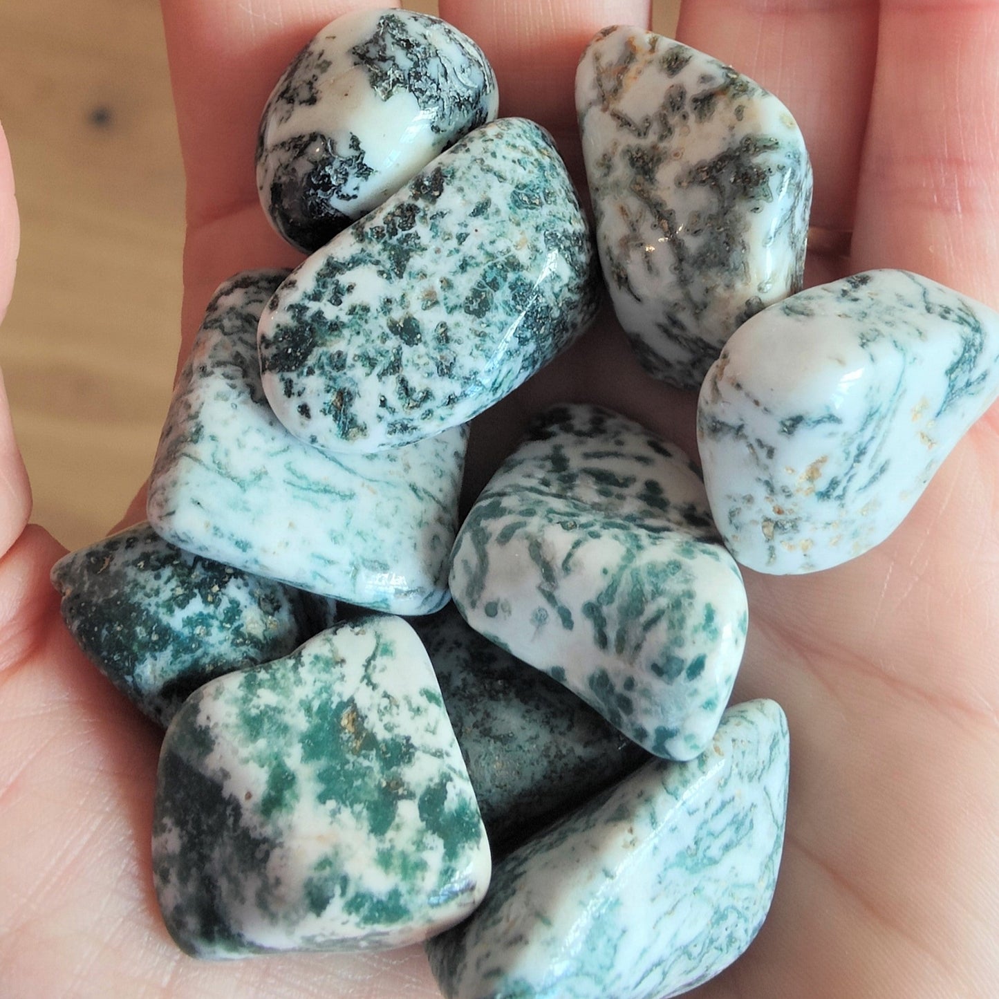 Tree Agate Tumblestone (M)