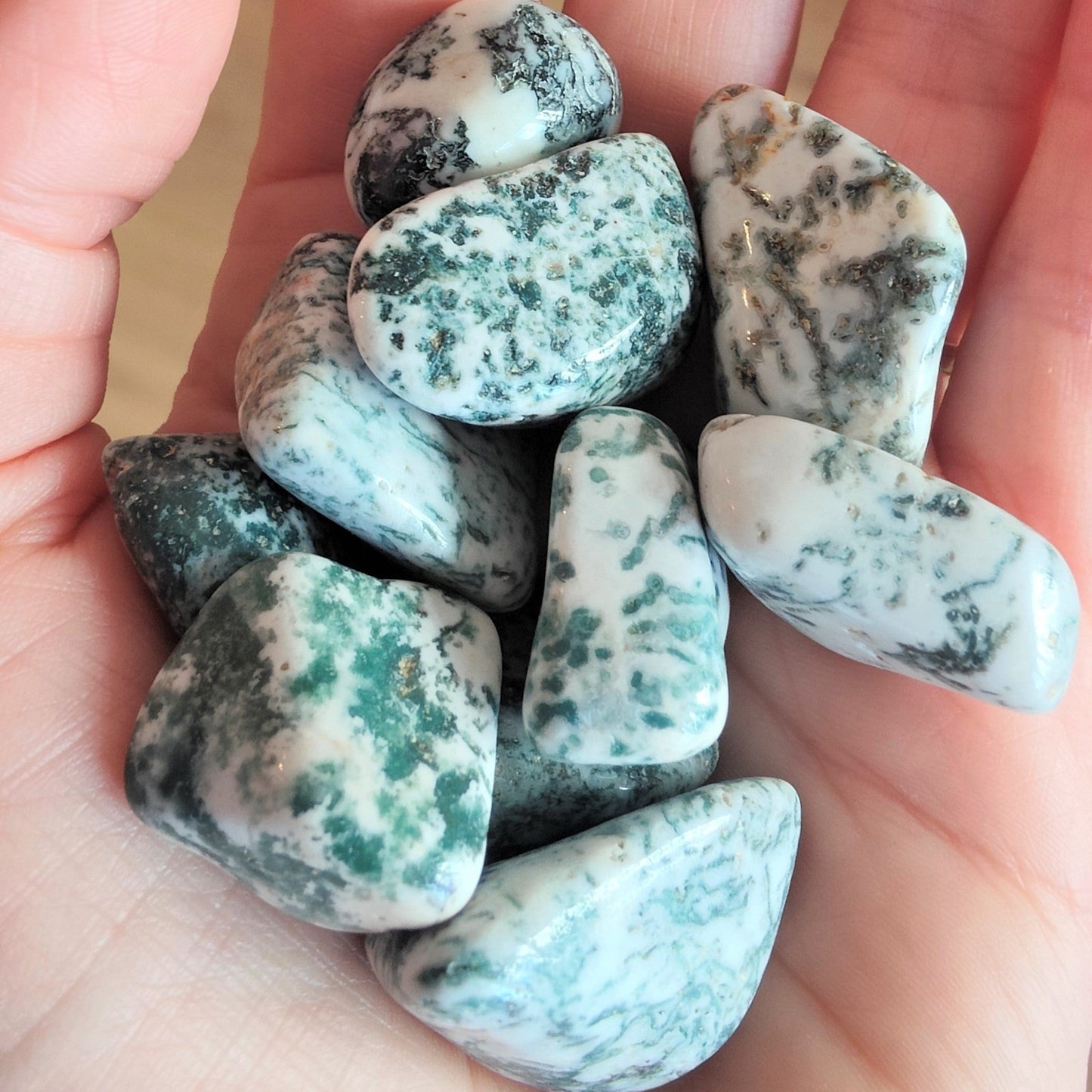 Tree Agate Tumblestone (M)