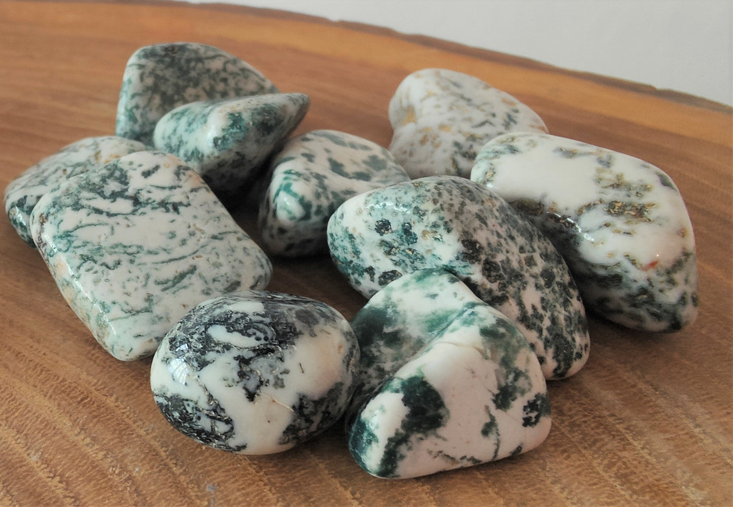 Tree Agate Tumblestone (M)
