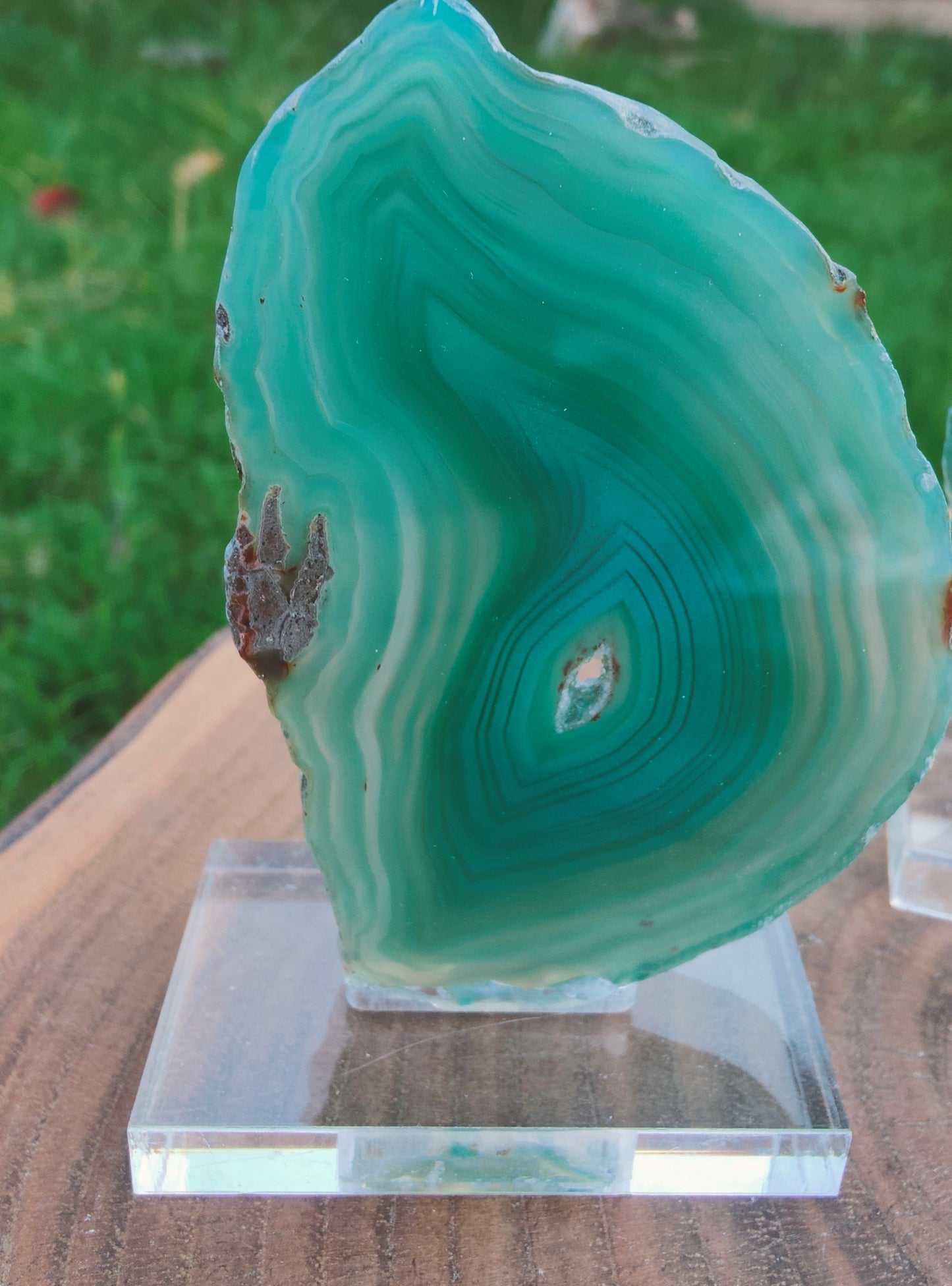 Green Agate Slice on Stand