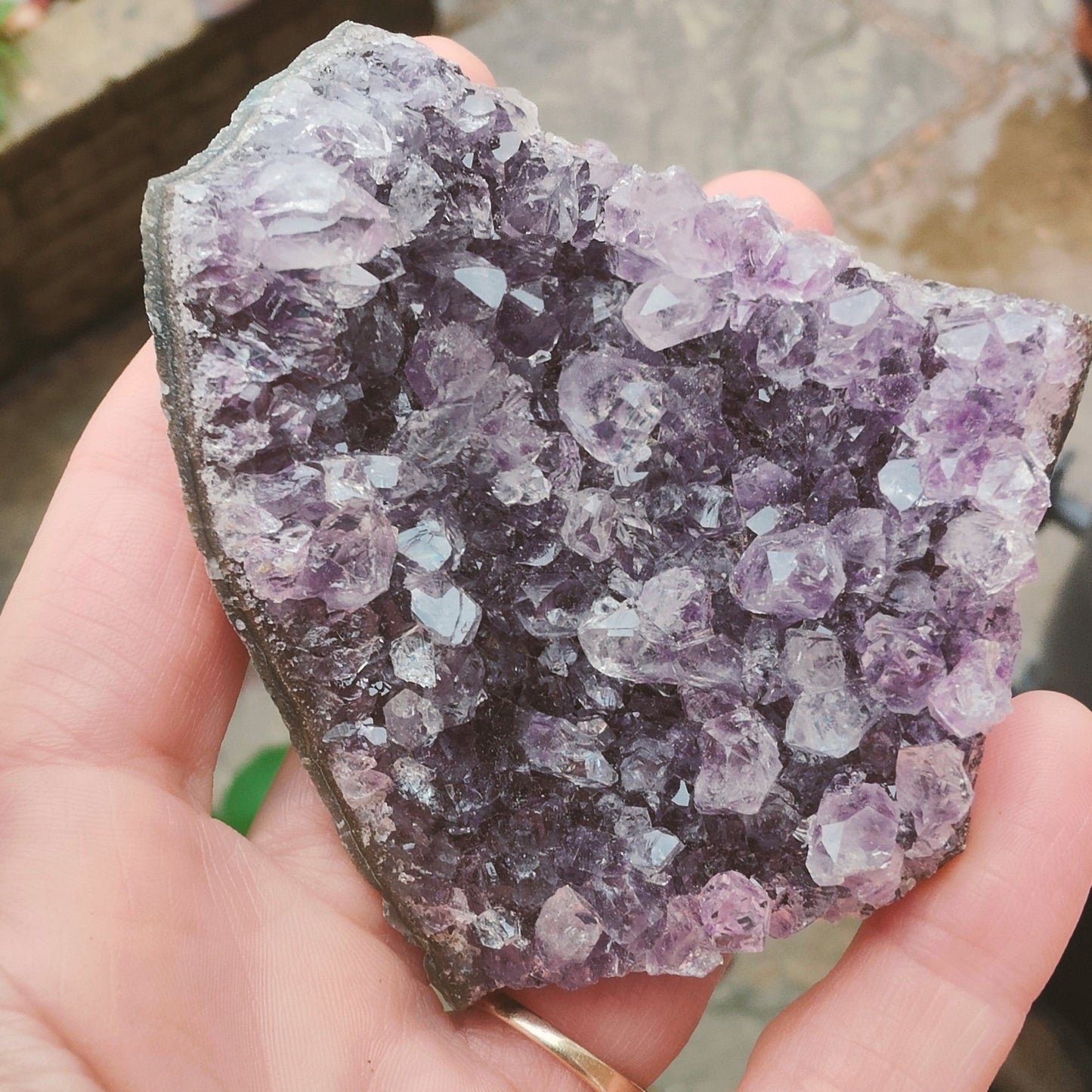 Amethyst Cluster (AC3)