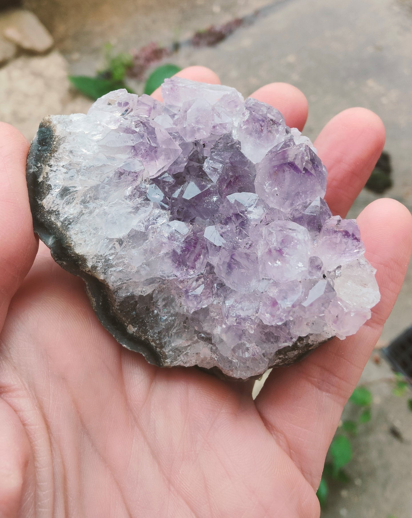 Amethyst Cluster (AC4)