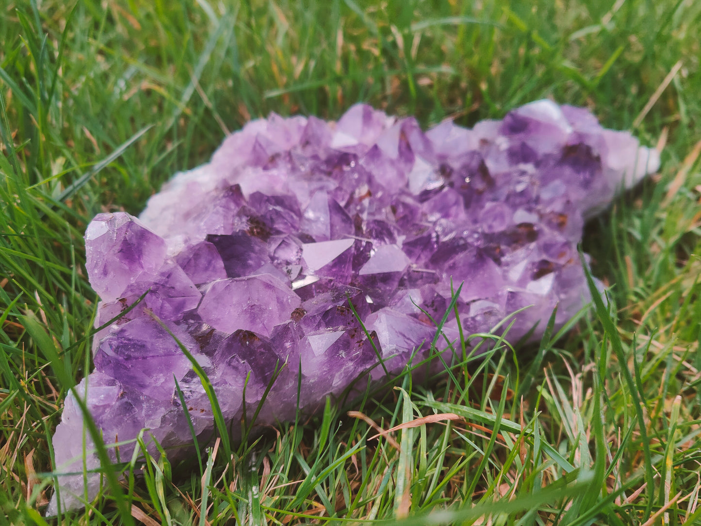 Amethyst Cluster 21-22cm