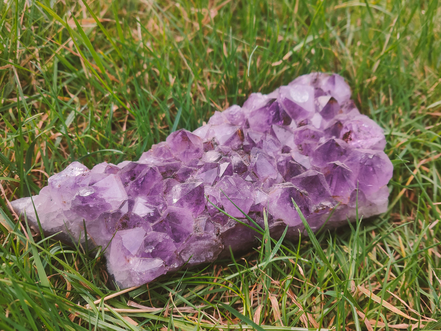Amethyst Cluster 21-22cm