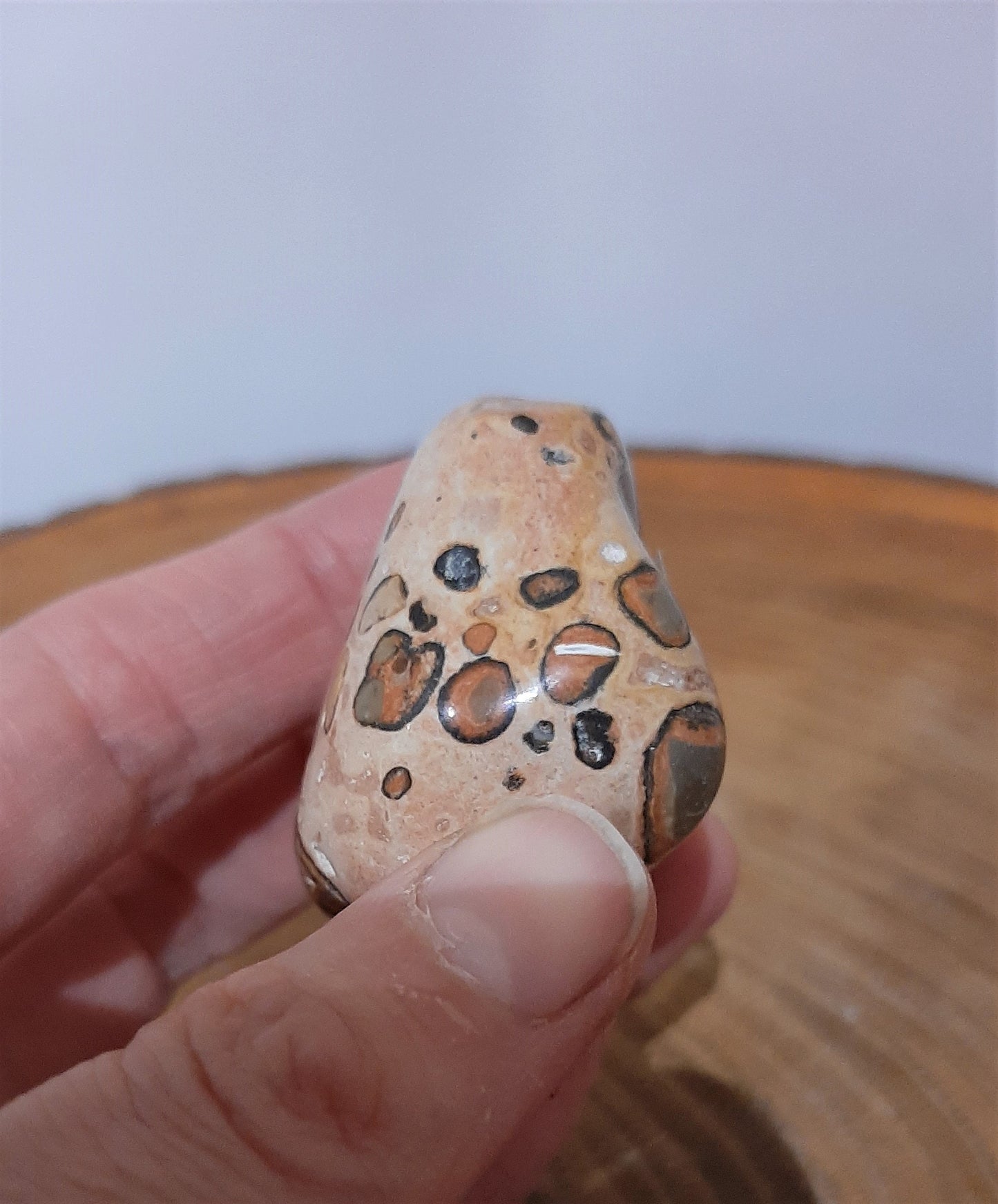 Leopardskin Jasper Palmstone