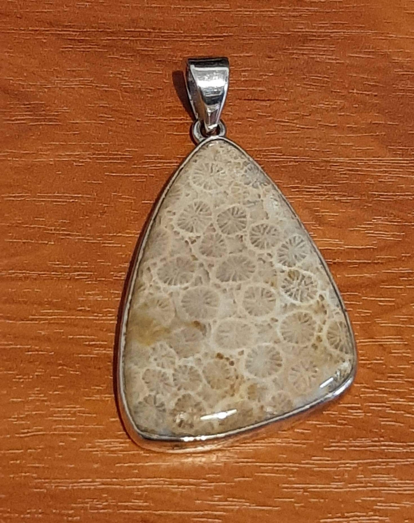 Petoskey Pendant in 925 Silver