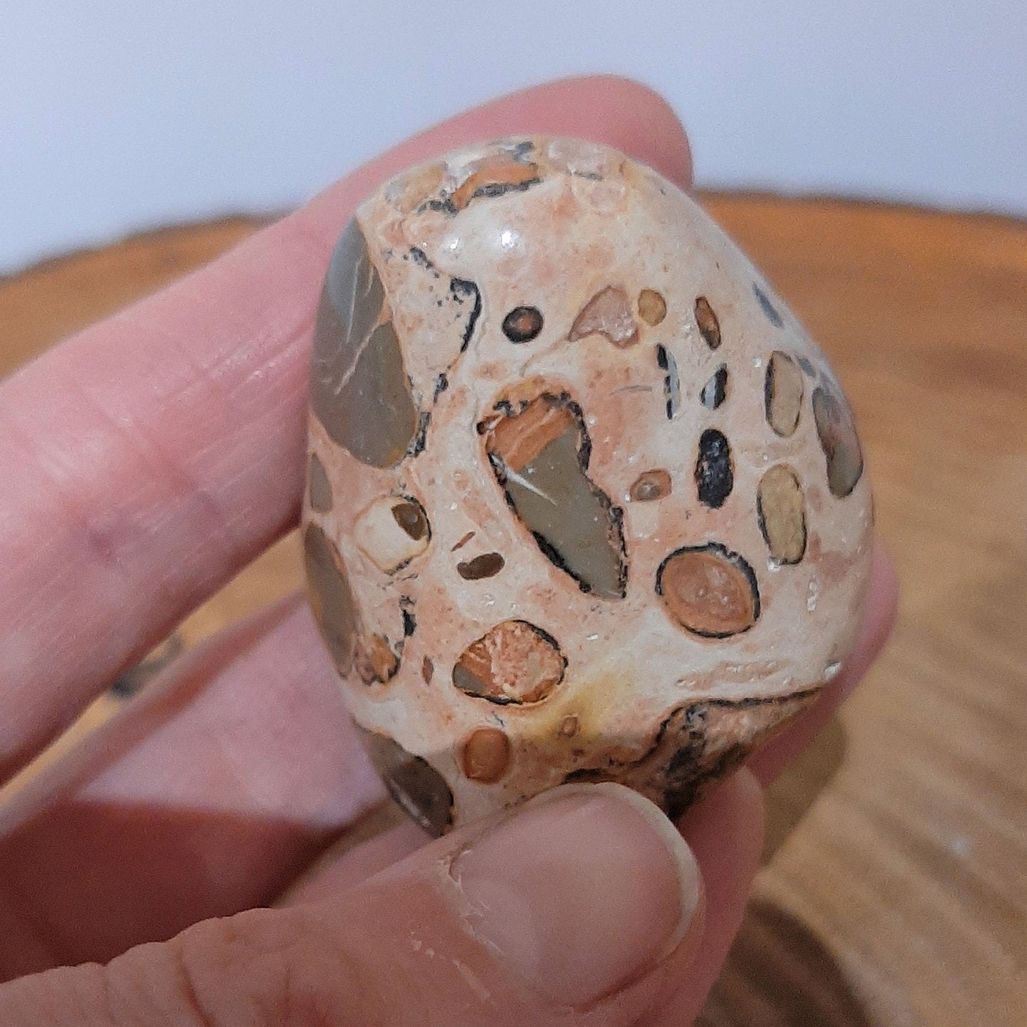 Leopardskin Jasper Palmstone