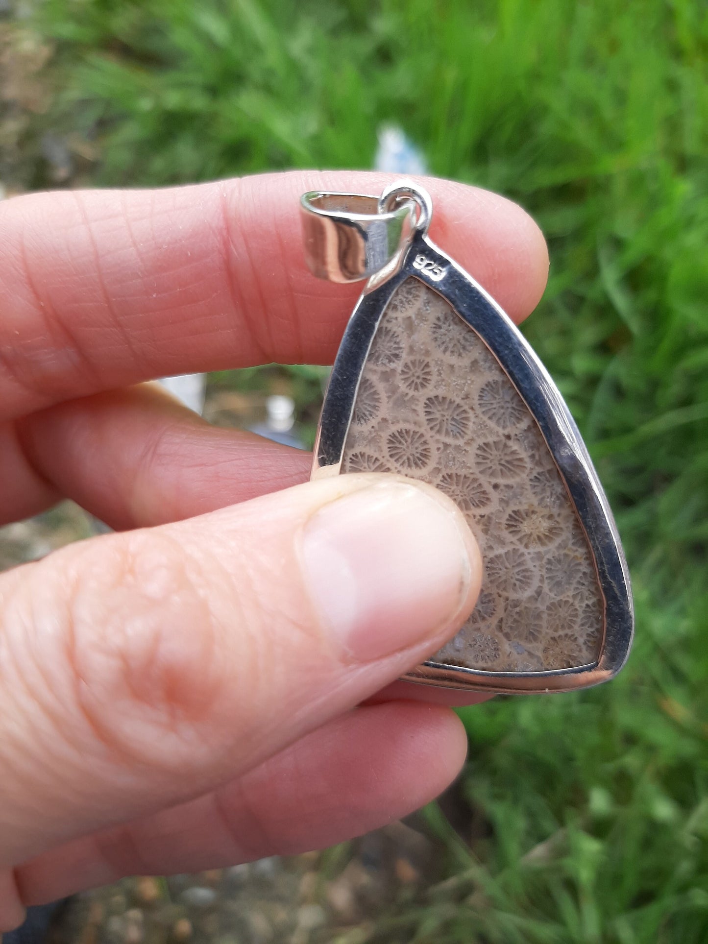 Petoskey Pendant in 925 Silver