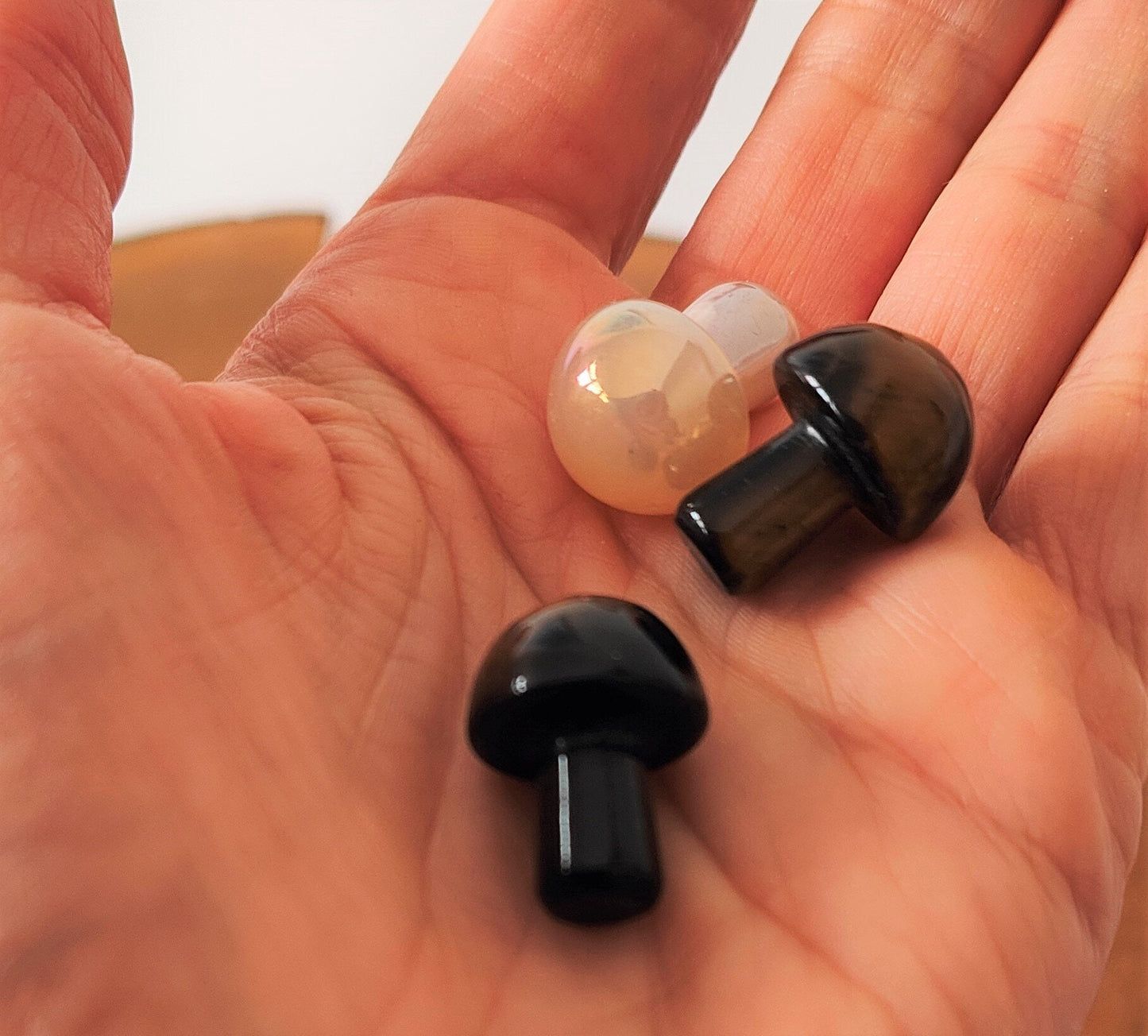 Gemstone Mushroom