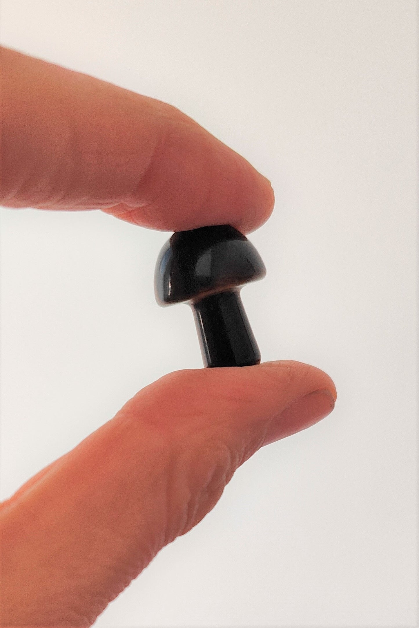 Gemstone Mushroom