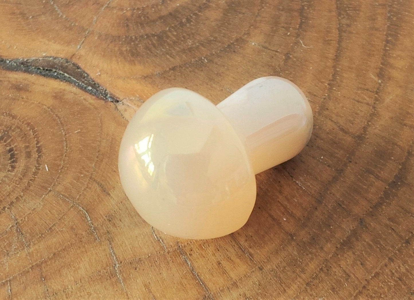 Gemstone Mushroom