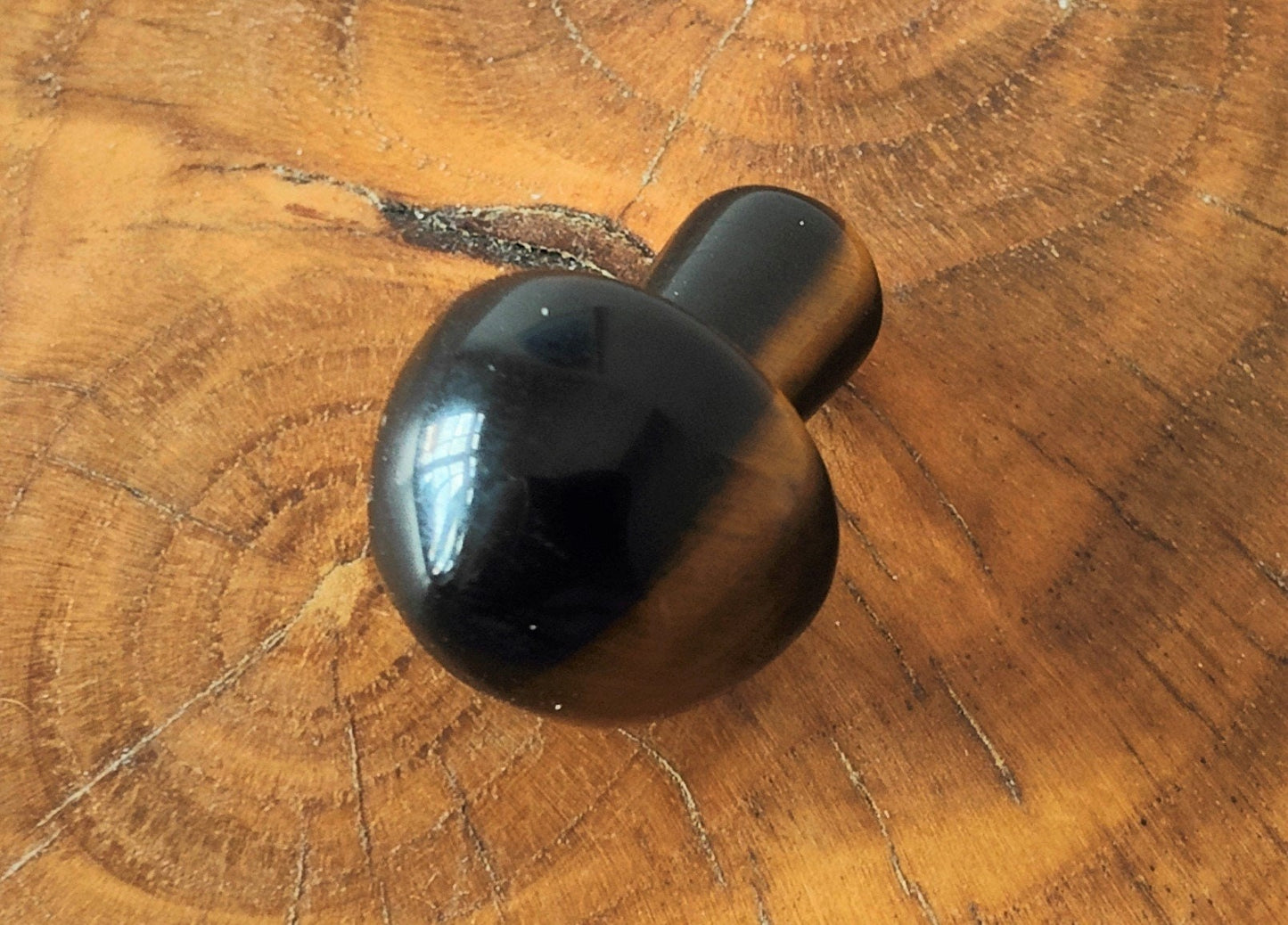 Gemstone Mushroom