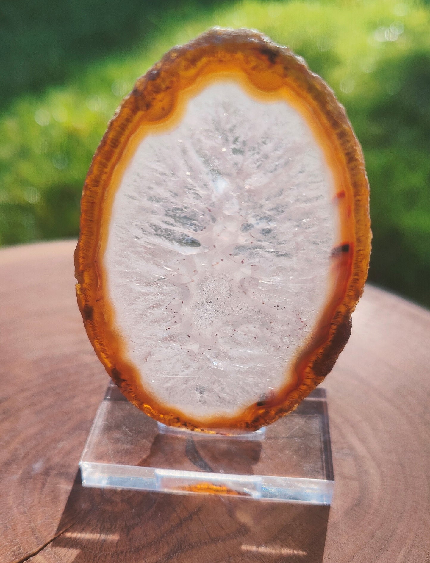 Black/White Agate Slice on stand