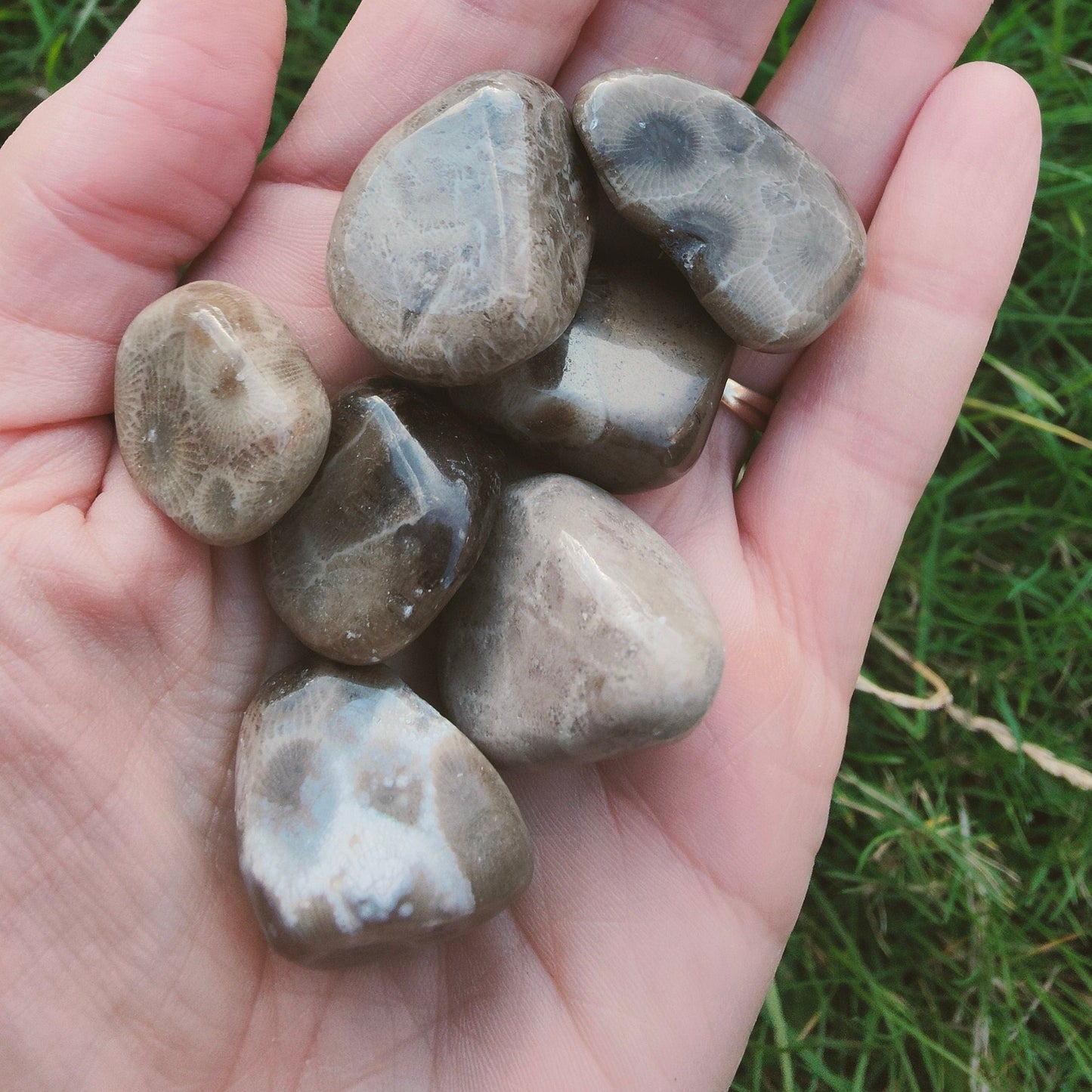 Petoskey Tumblestone (M)