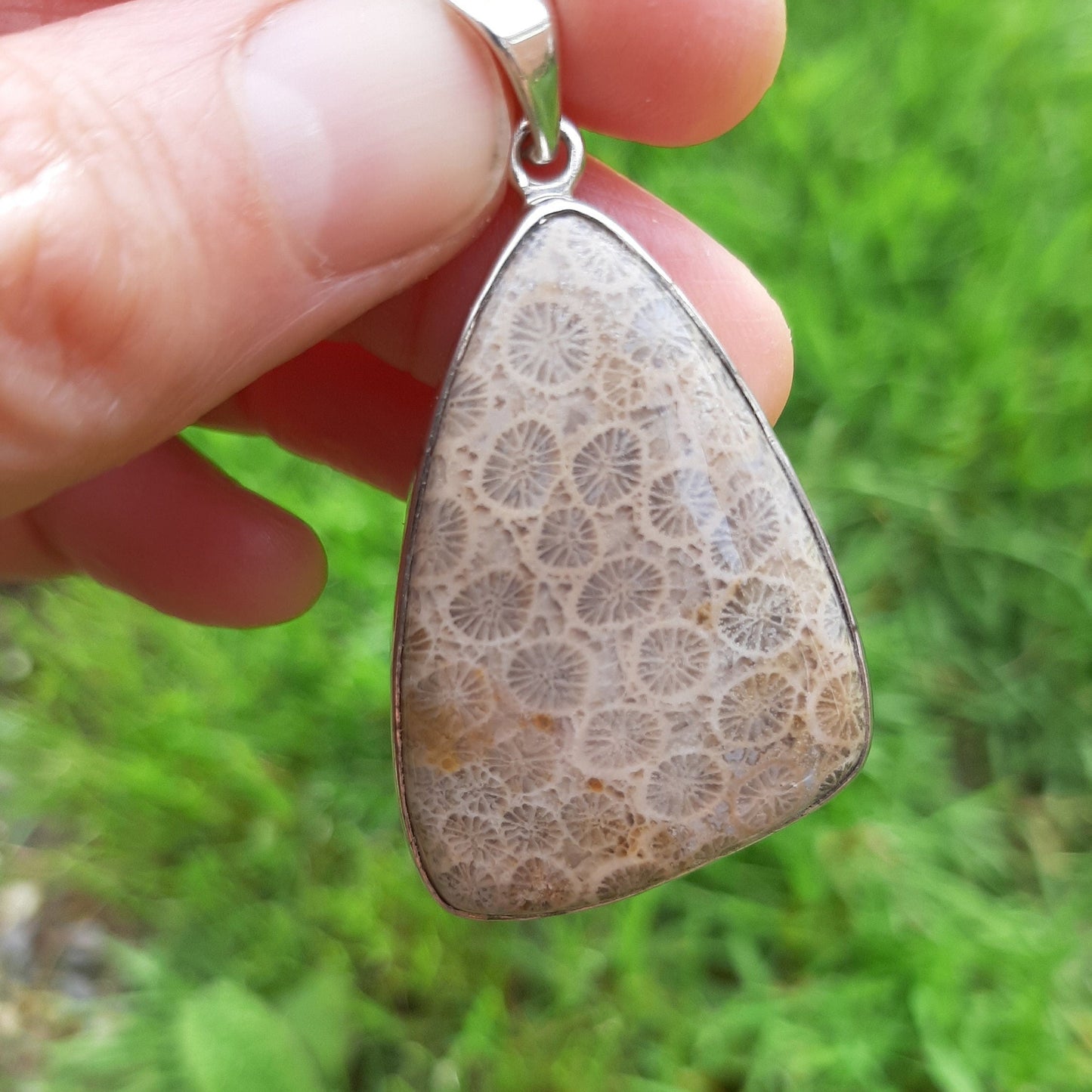 Petoskey Pendant in 925 Silver