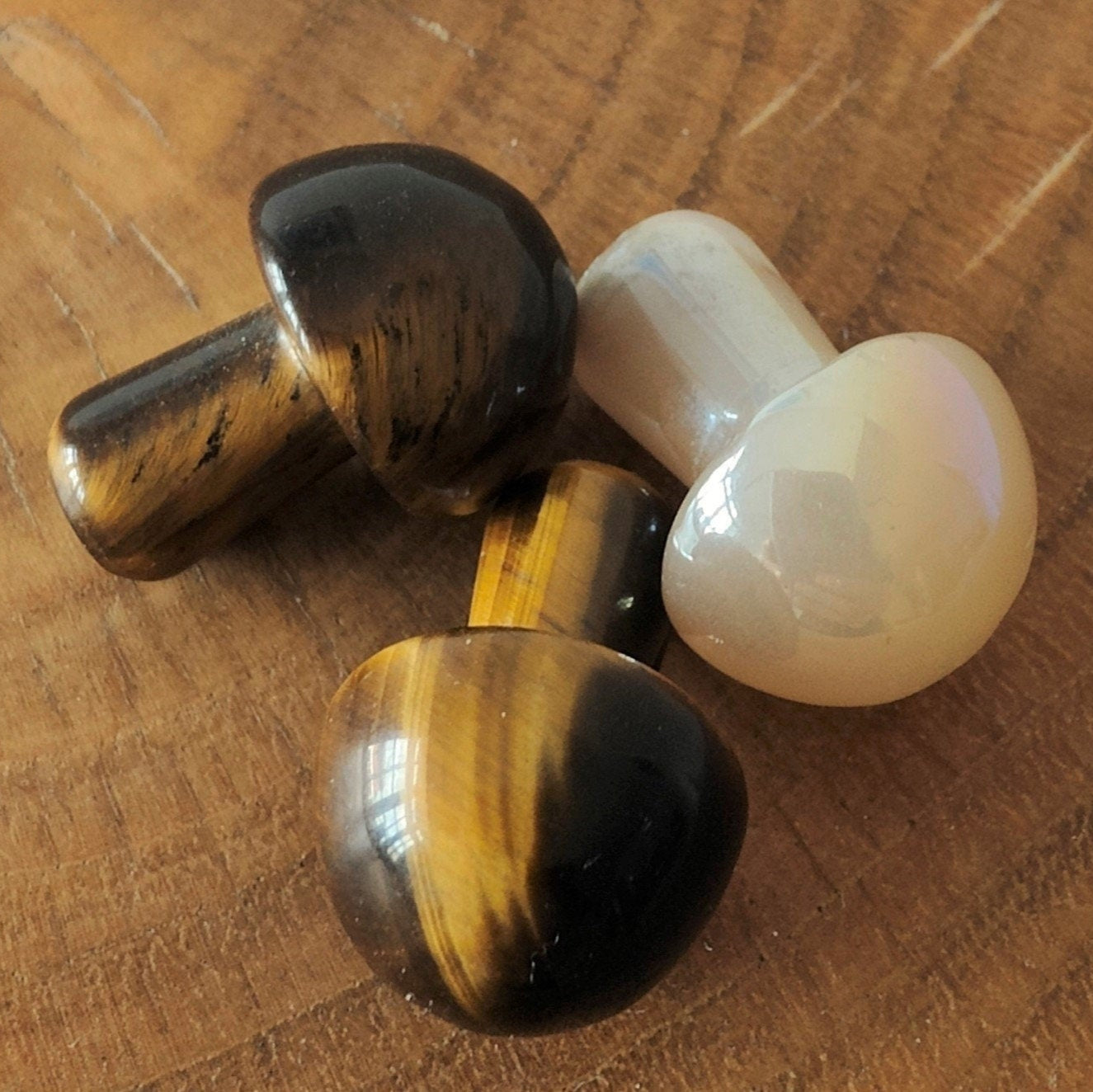 Gemstone Mushroom