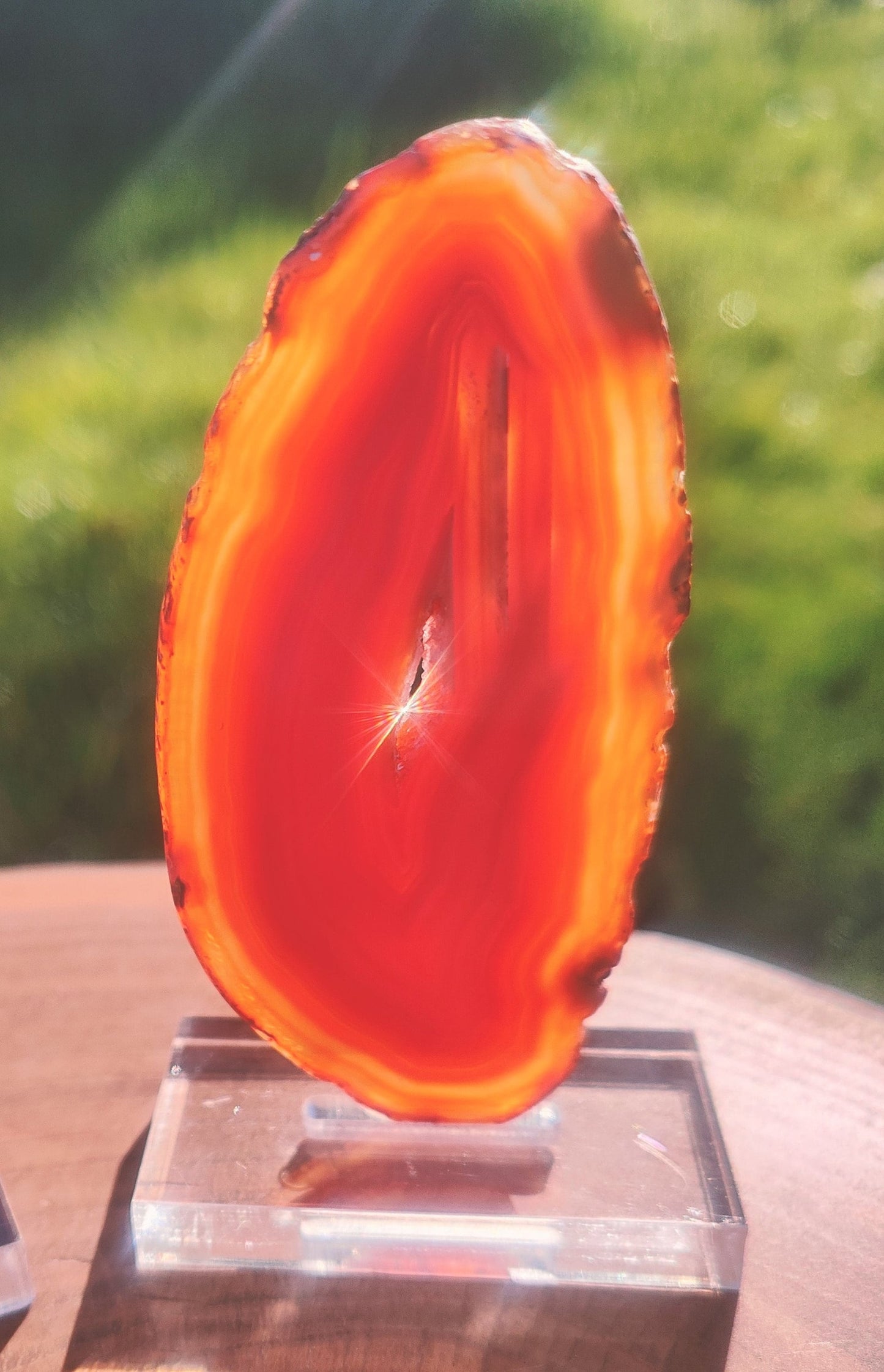 Brown Agate Slice on Stand