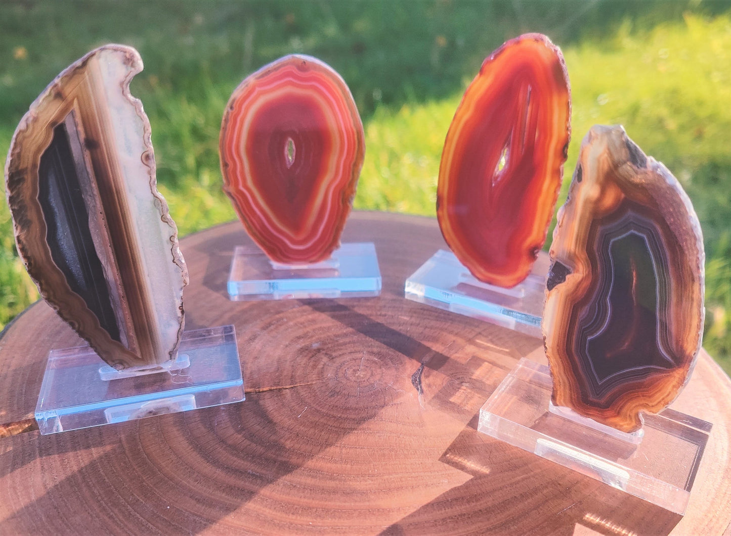 Brown Agate Slice on Stand