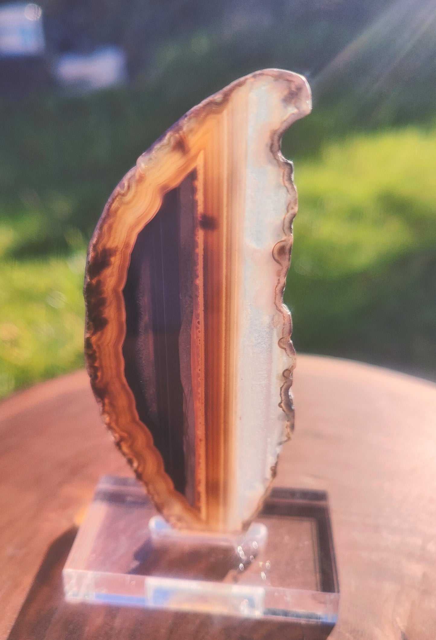 Brown Agate Slice on Stand