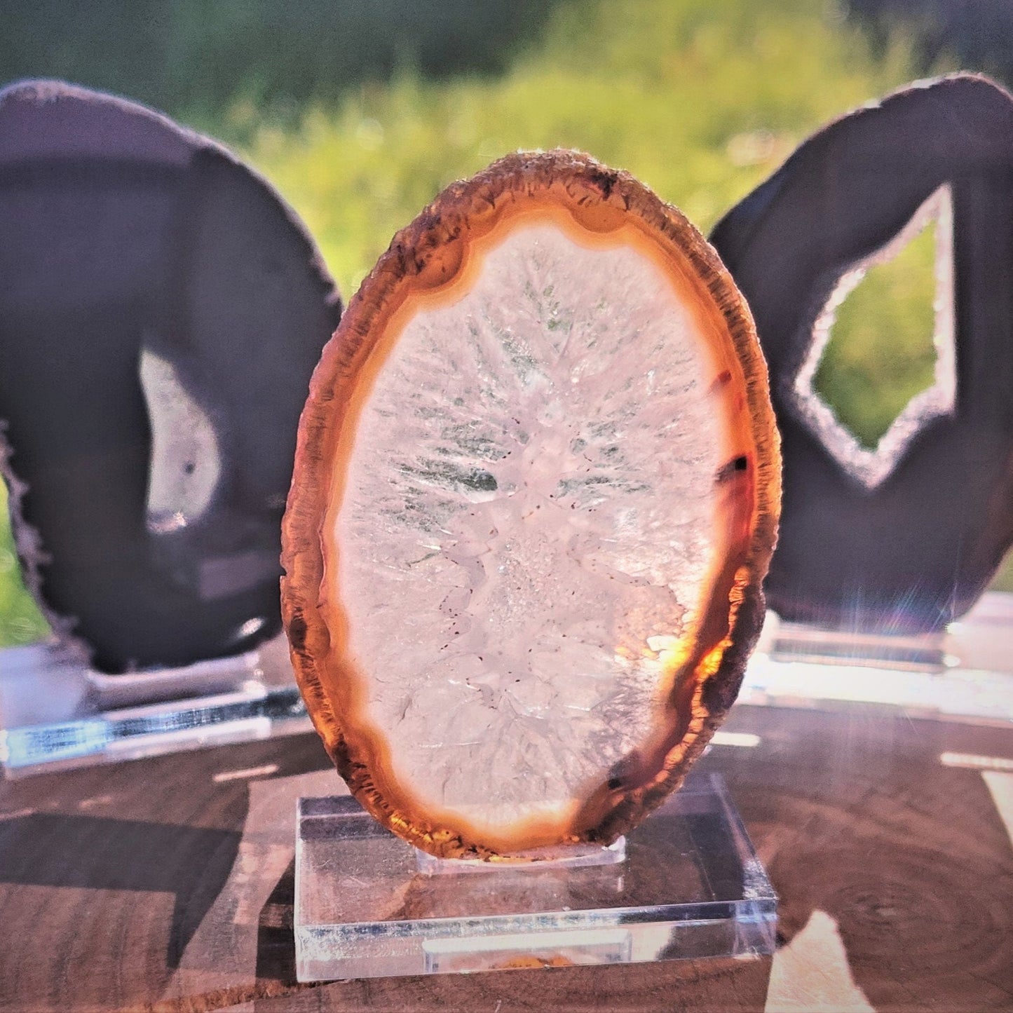 Black/White Agate Slice on stand