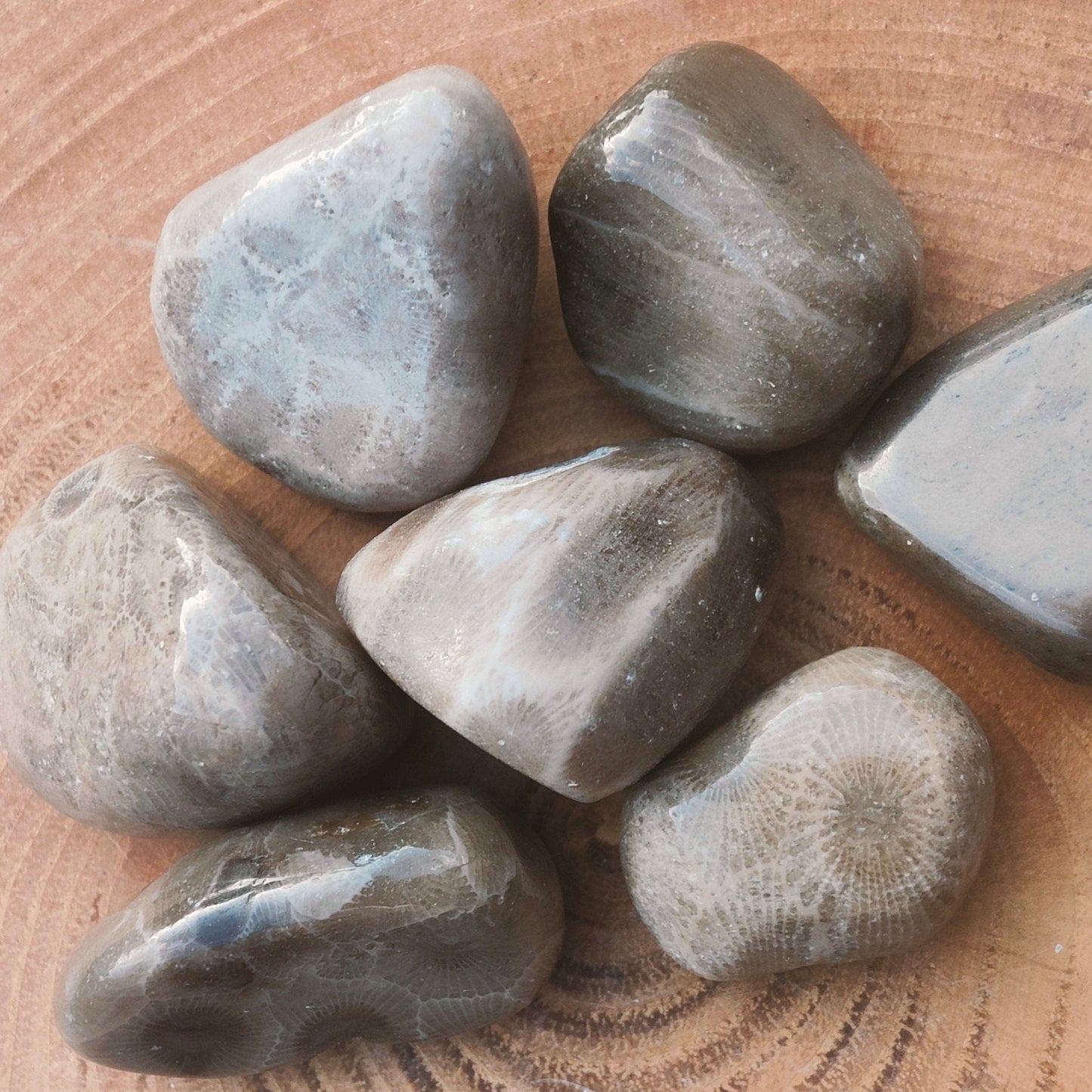 Petoskey Tumblestone (M)